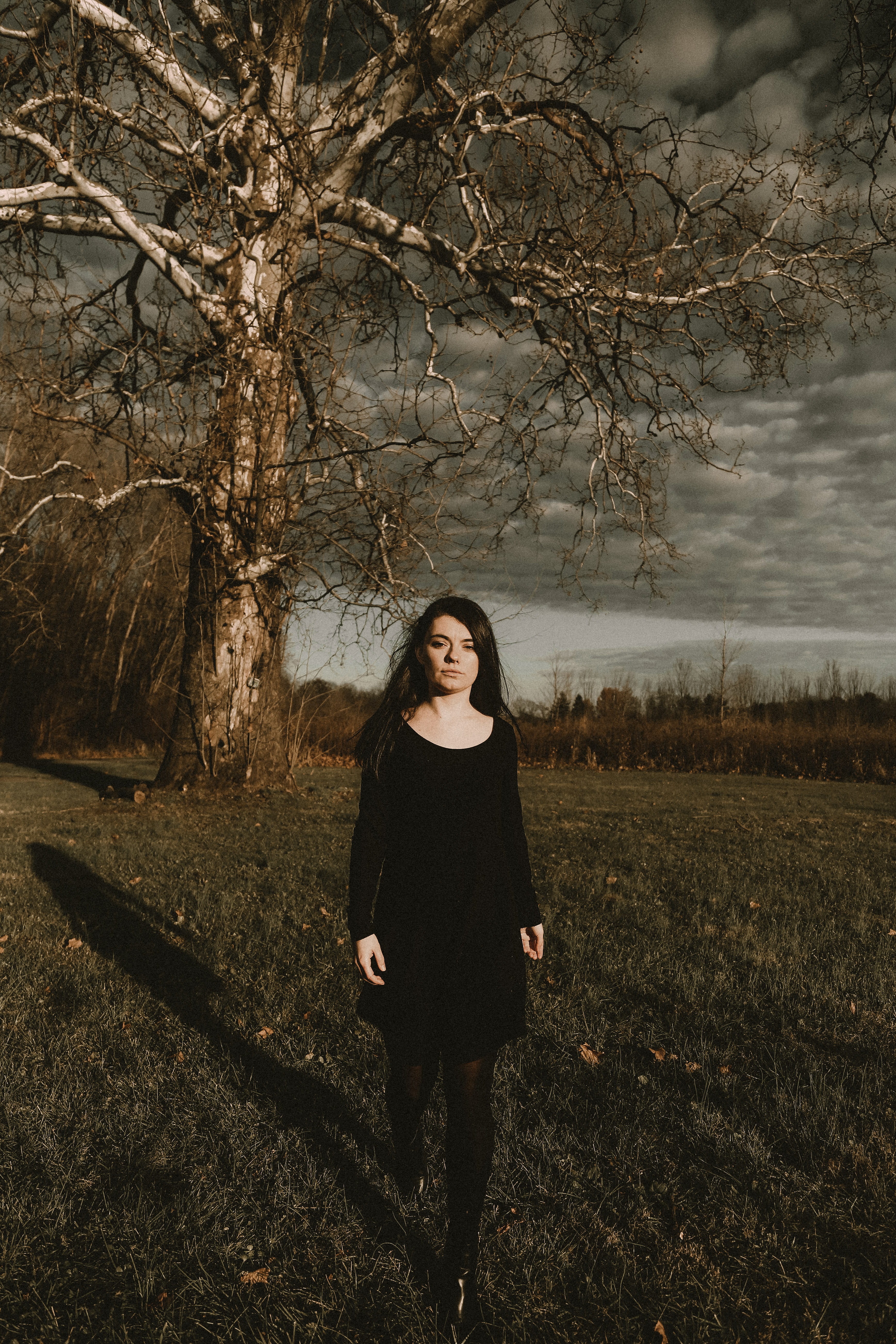 autumn, november, moody, real people, women, full length, lifestyles, tree, 5K, hairstyle, girl, portrait, grass, young women, plant, standing, field, Phone HD Wallpaper