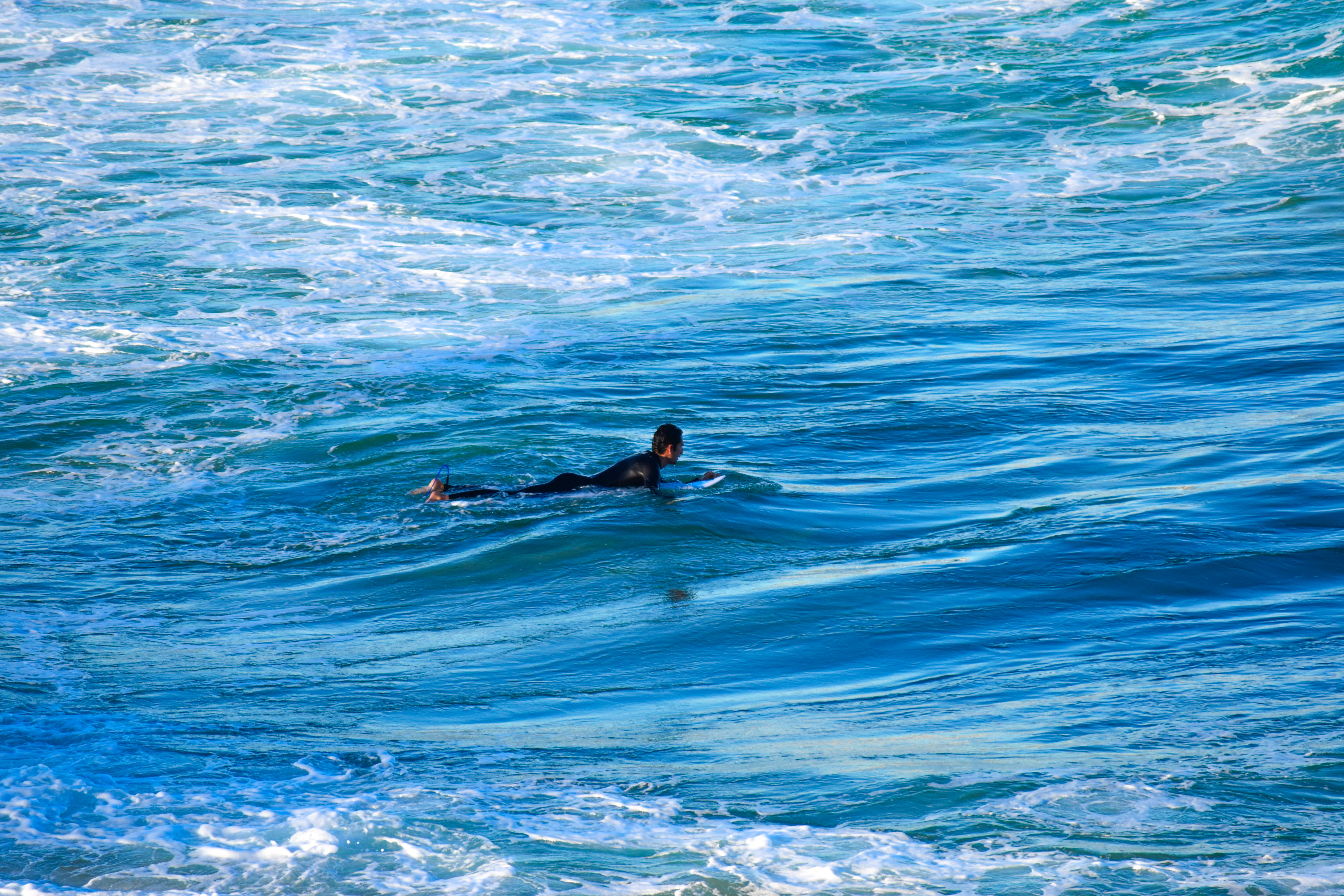 real people, sea, australia, aquatic sport, surf, adventure, water, surfboard, day, summer, 5K, leisure activity, bondi, bondi beach, outdoors, nature, HD Wallpaper