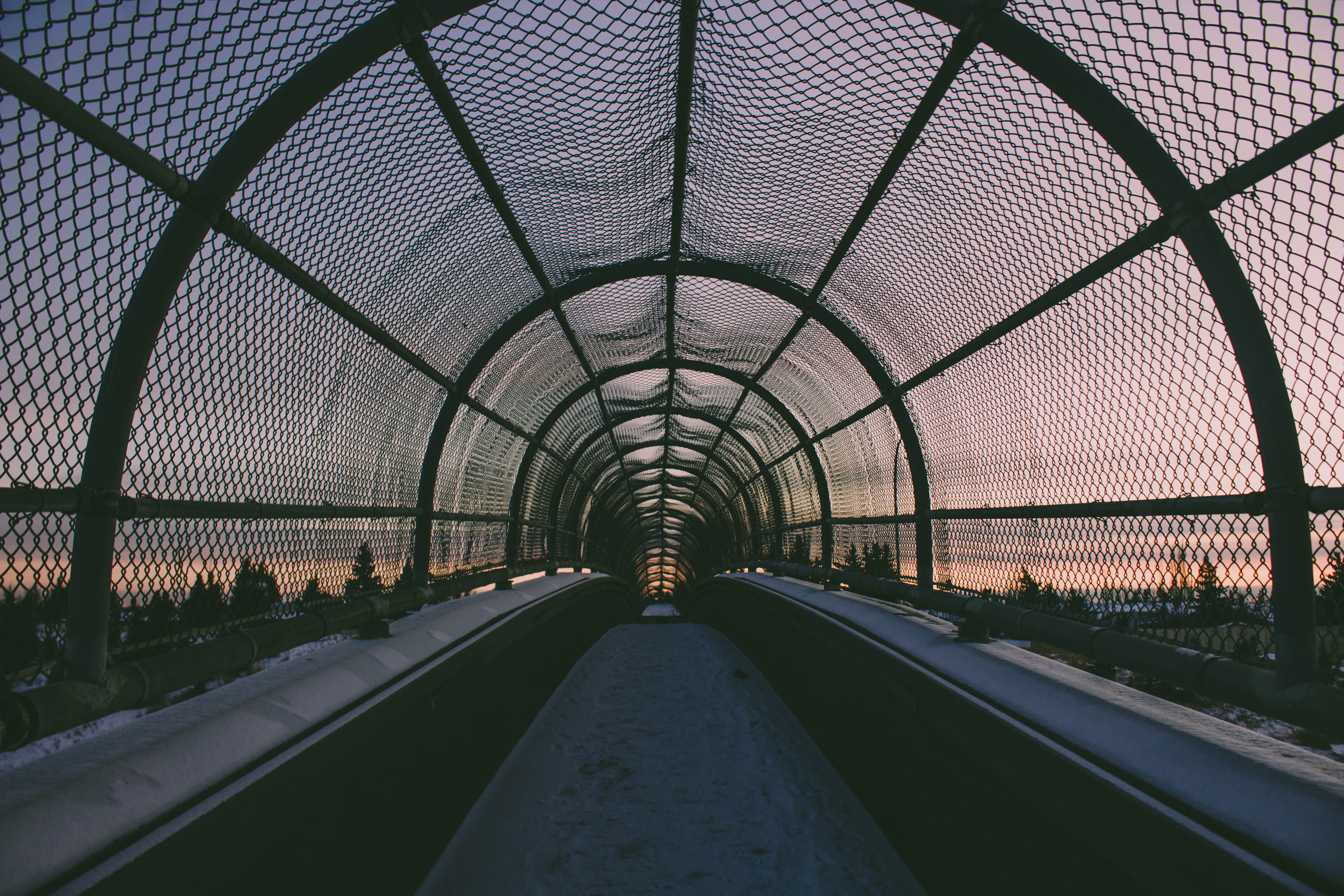 trees, direction, simple, the way forward, passion, canada, metal, built structure, adventure, day, sunset, colorful, winter sunset, footpath, footbridge, HD Wallpaper