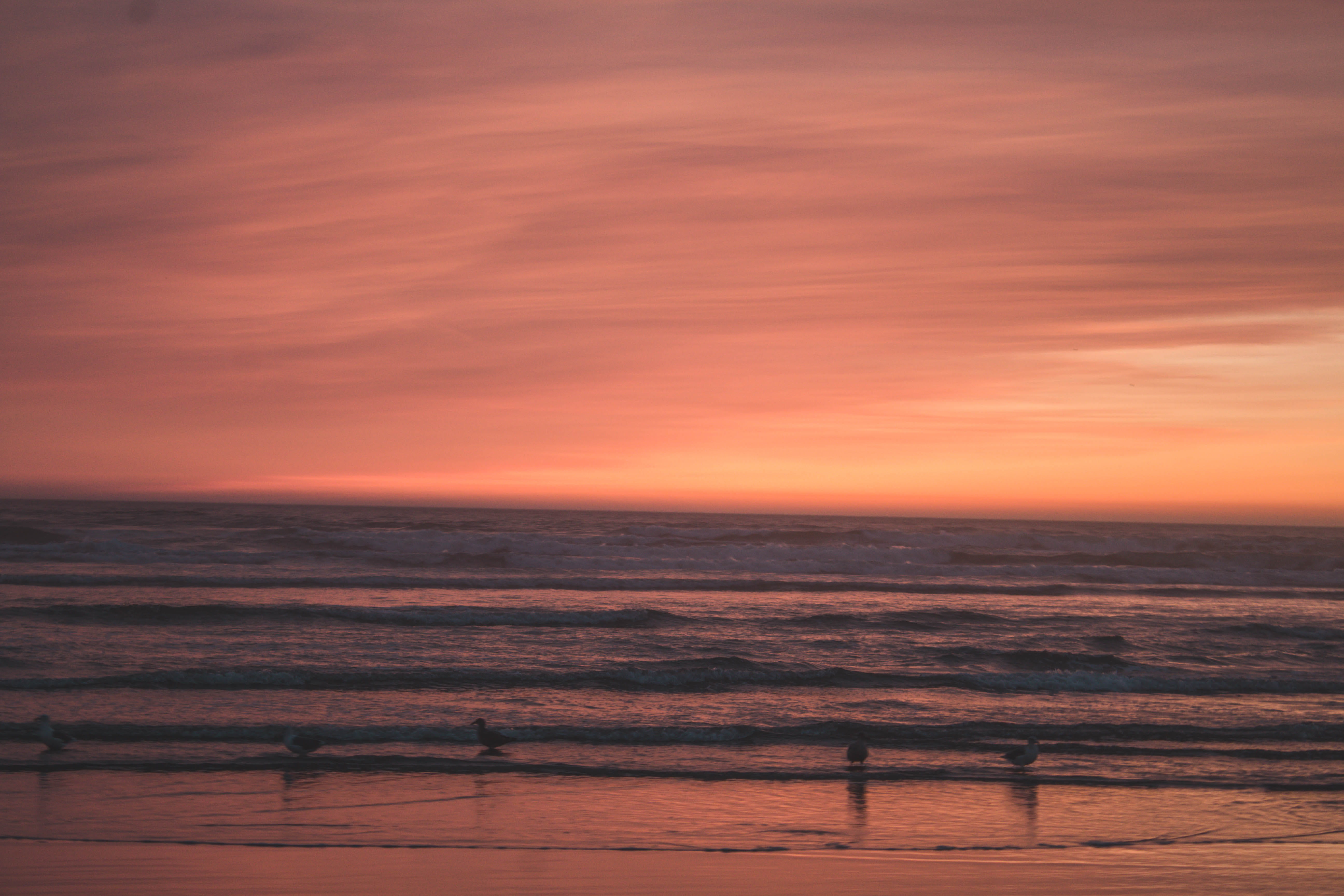 sunset, brendonttv, pink, united states, 5K, beauty in nature, orange color, land, beach photography, landscape, outdoors, oregon photography, dramatic sky, HD Wallpaper