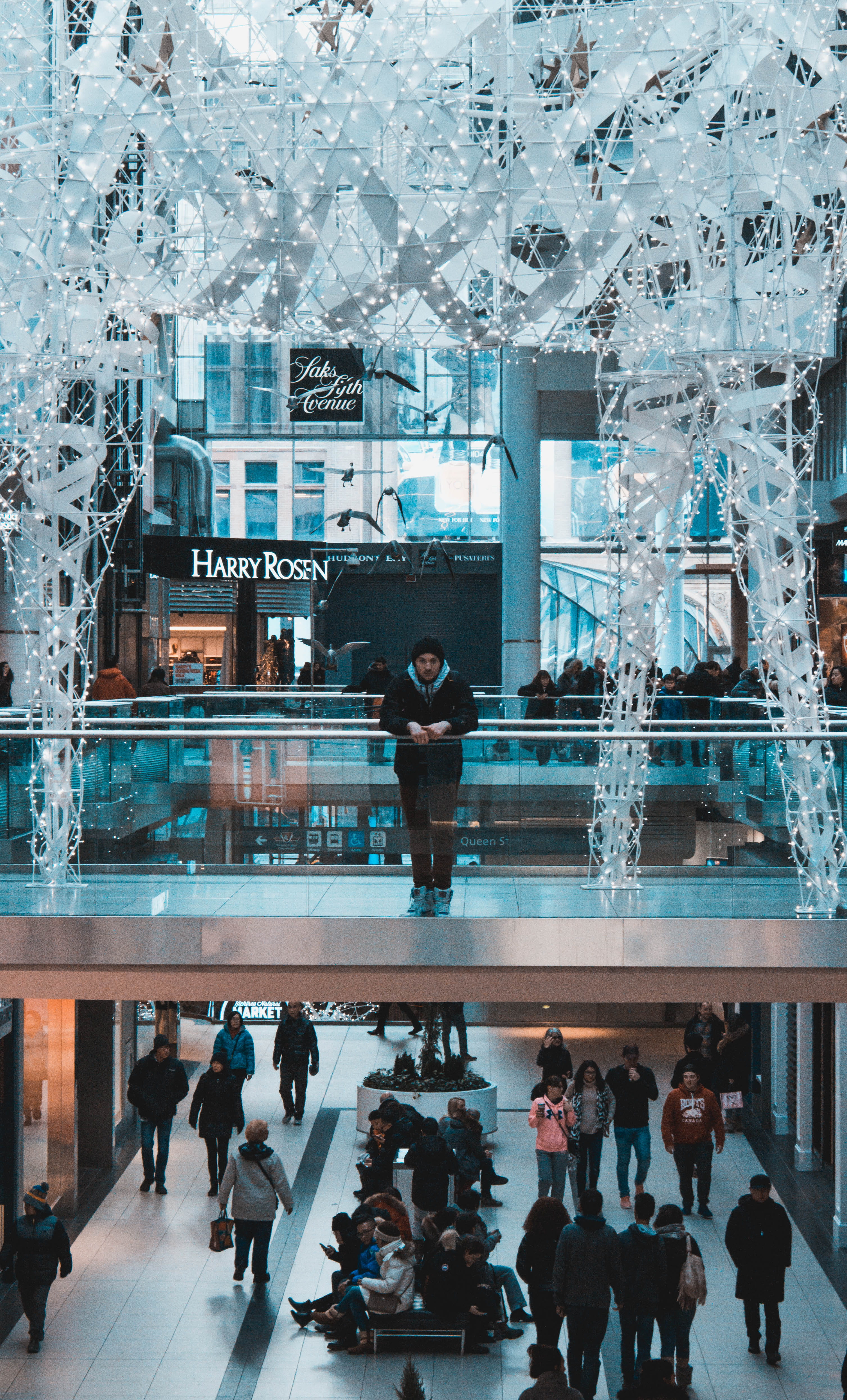 group of people, lights, crowd, love, toronto, travel, glass - material, eaton, men, mall, women, shopping mall, winter, city, focus, leisure activity, Phone HD Wallpaper