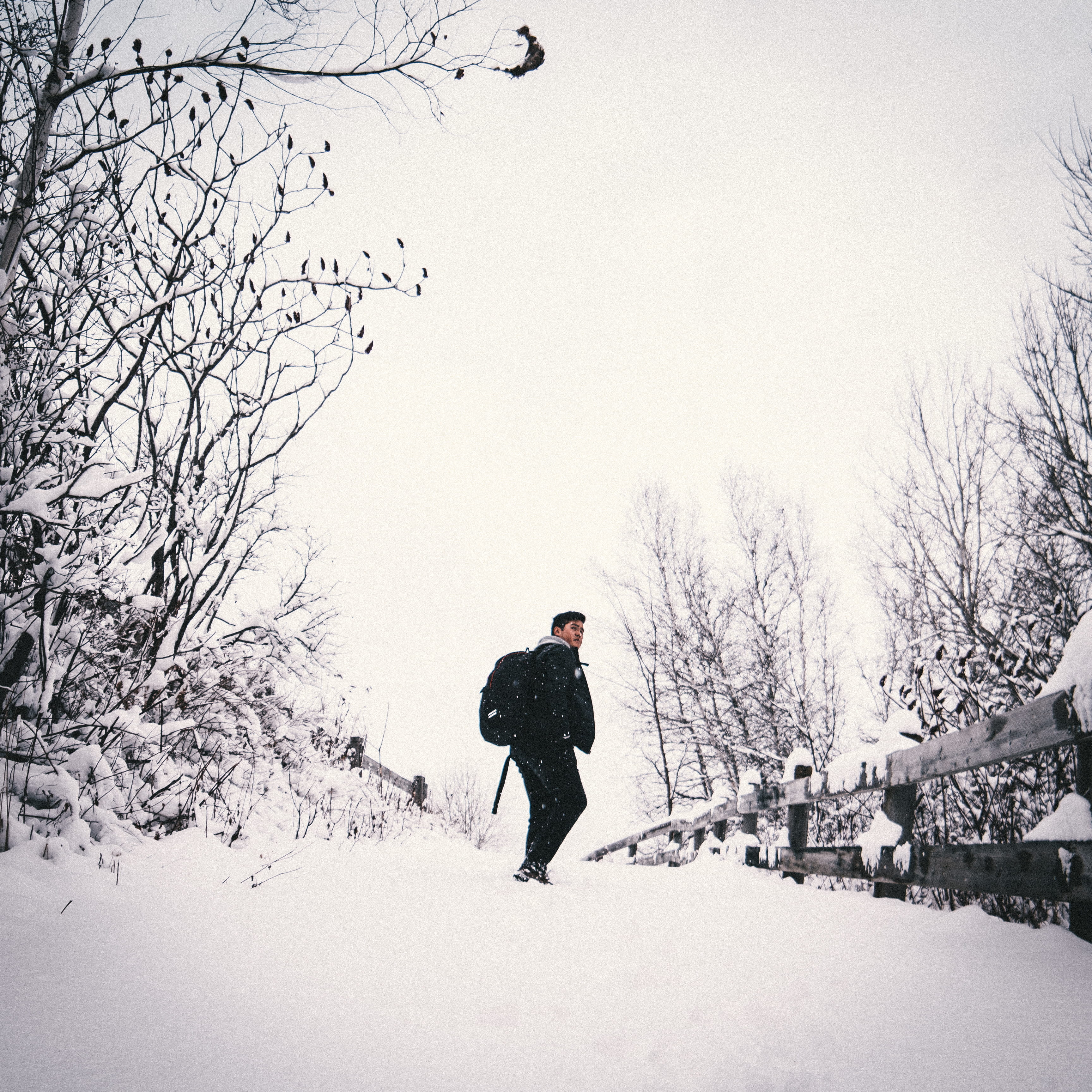 snow, covering, plant, lifestyles, nature, one person, snoy, fredericton, extreme weather, field, warm clothing, winter, tree, sony, cold temperature, leisure activity, Phone HD Wallpaper