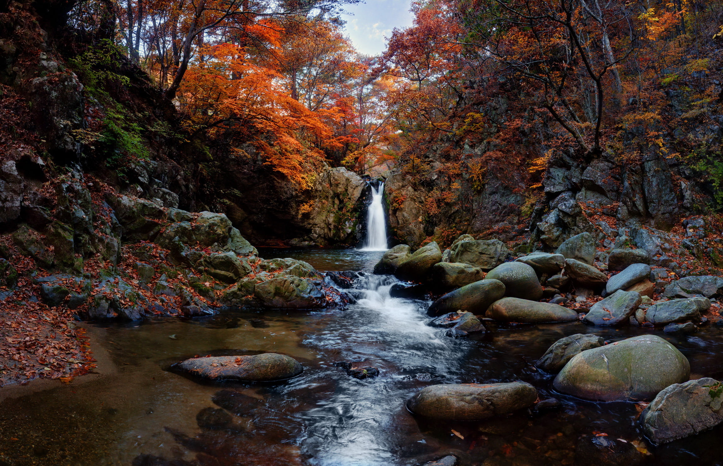 tree, daytime, trees, waterfall, freshness, falling, 1080P, rock - Object, landscape, outdoors, stream, timelapse, beauty In Nature, photography, autumn, HD Wallpaper