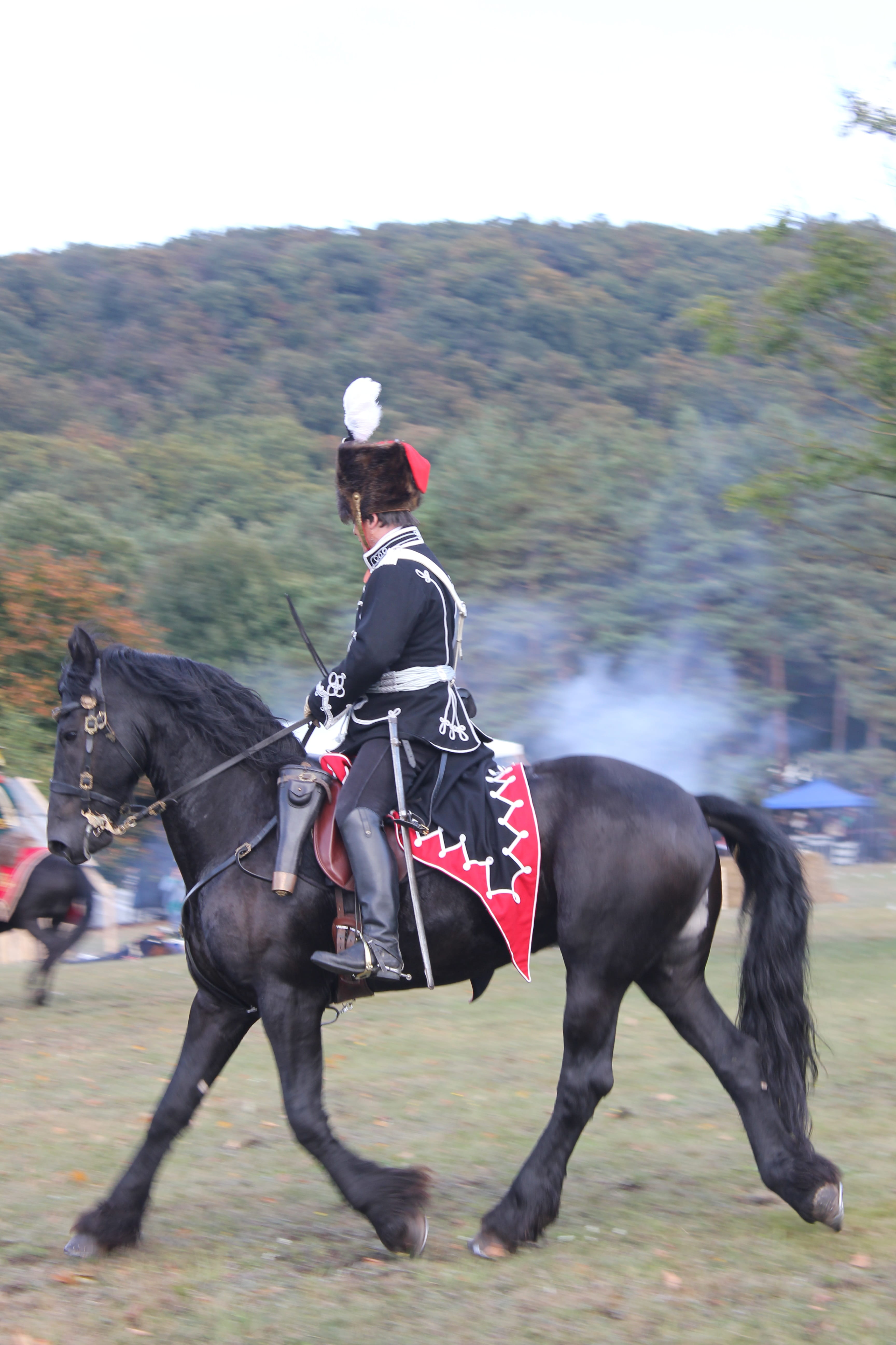 real people, Soldier, horseback riding, Military Parade, domestic, activity, riding, leisure activity, domestic animals, pets, lifestyles, horse, motion, Phone HD Wallpaper