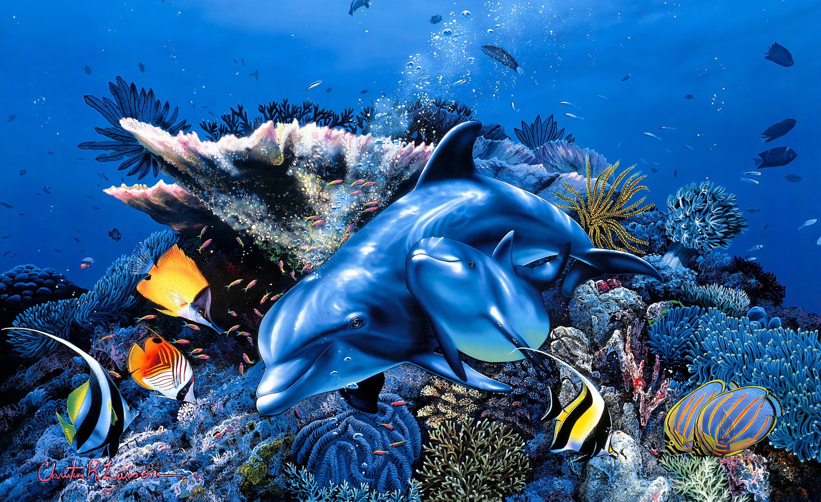Animal, Coral, 2K, Fish, Baby Animal, Sea Life, Dolphin, Artistic, Painting, HD Wallpaper
