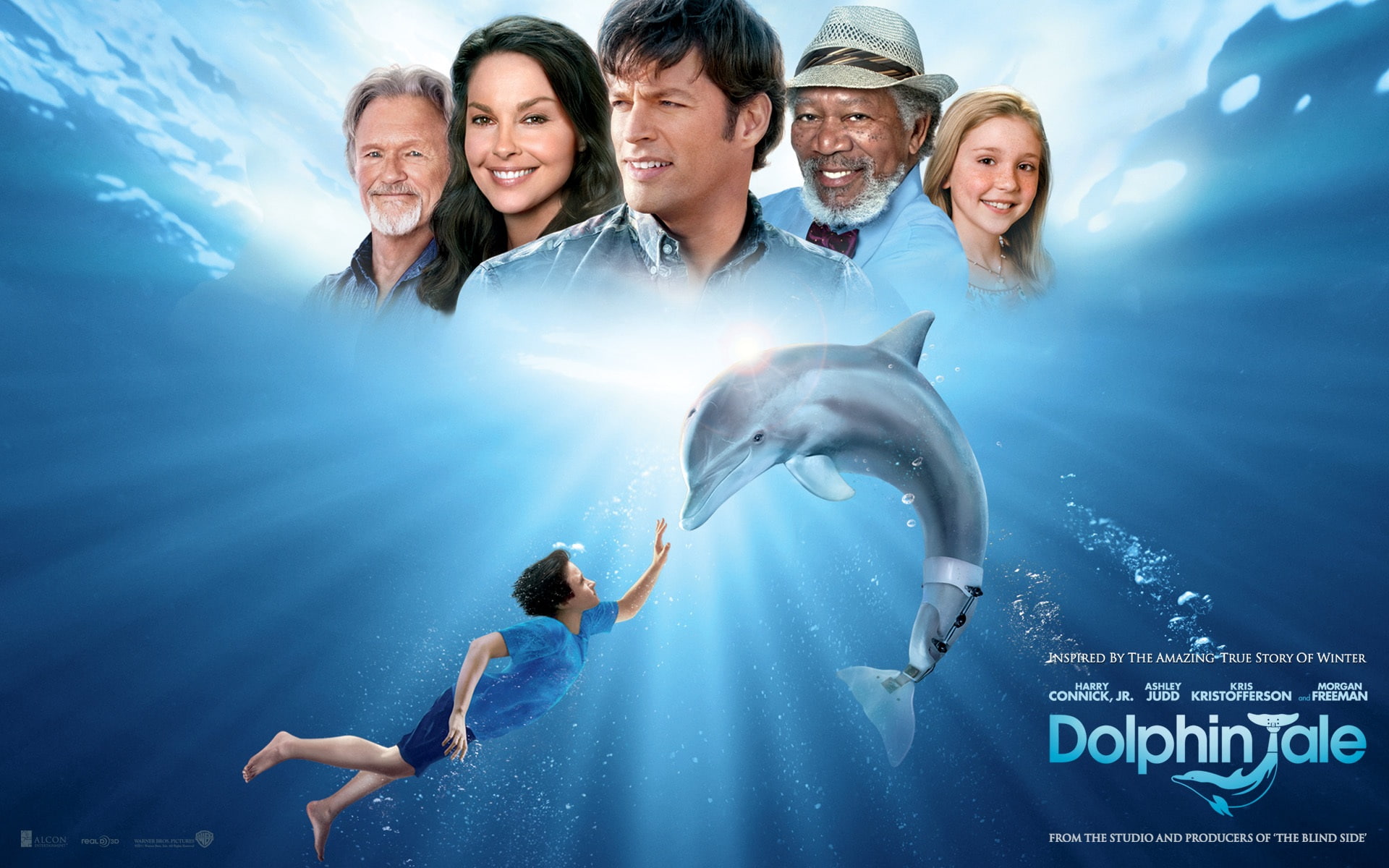 Tale, 1080P, Dolphin, HD Wallpaper