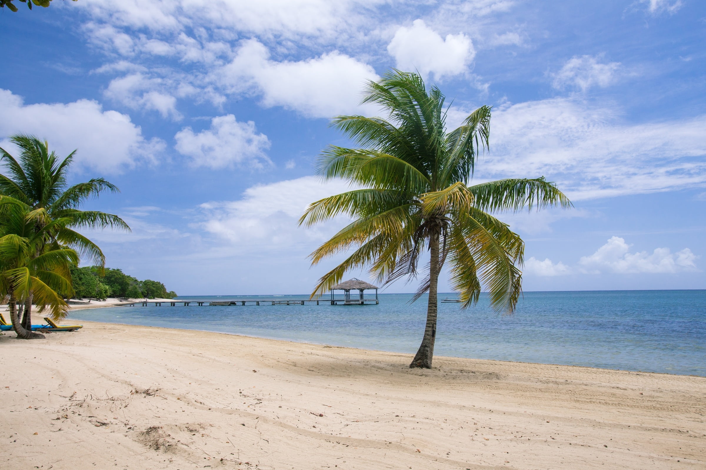 beauty in nature, horizon, near, palm Tree, tropical tree, tropical Climate, 1080P, sand, summer, resort, tranquil scene, sea coast, sky, tree, island, HD Wallpaper