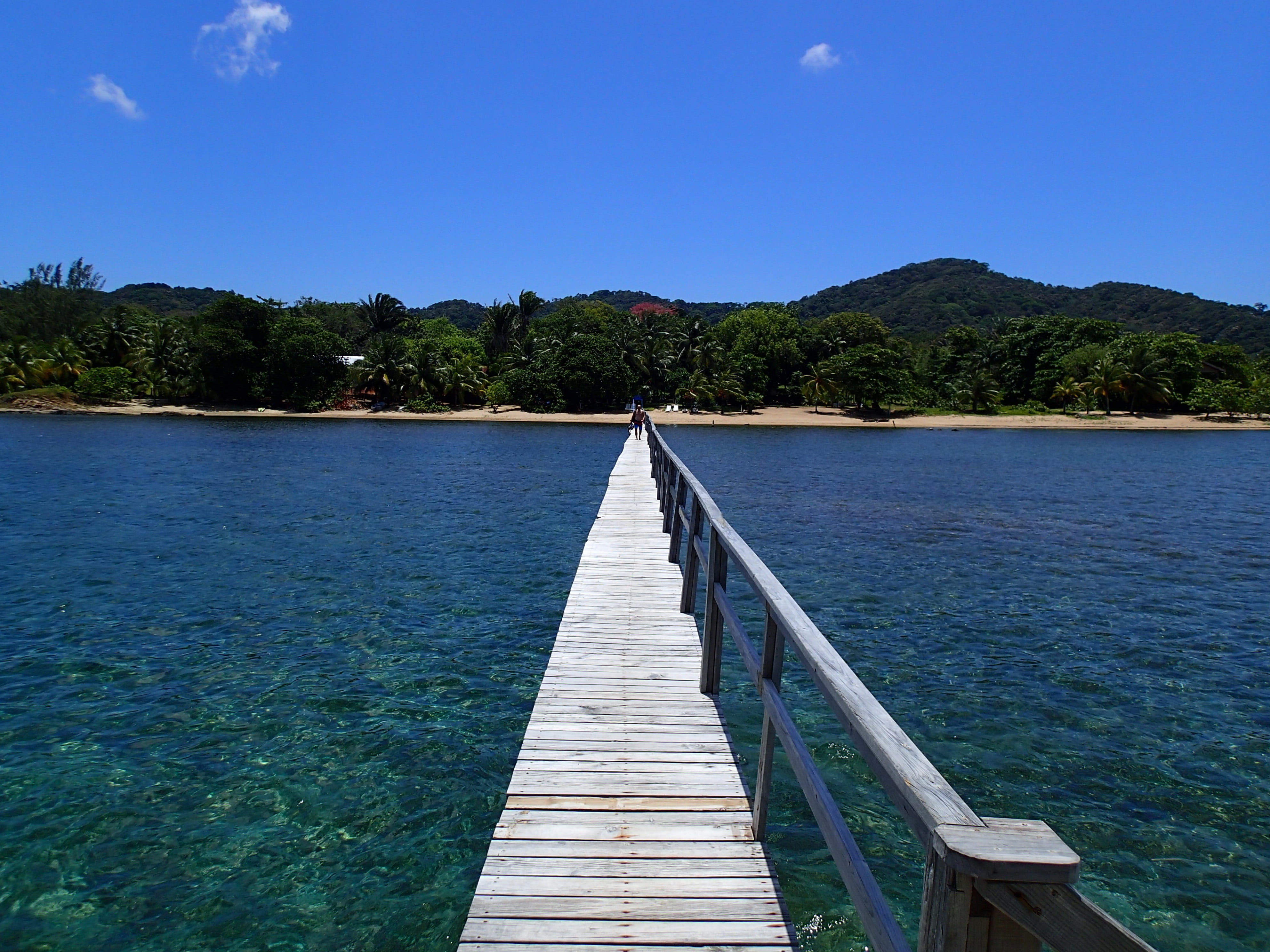 pier, beauty in nature, 4K, tranquility, blue, wood - material, lake, Roatan, tree, tranquil scene, no People, landscape, Jetty, Wooden, outdoors, diminishing perspective, HD Wallpaper