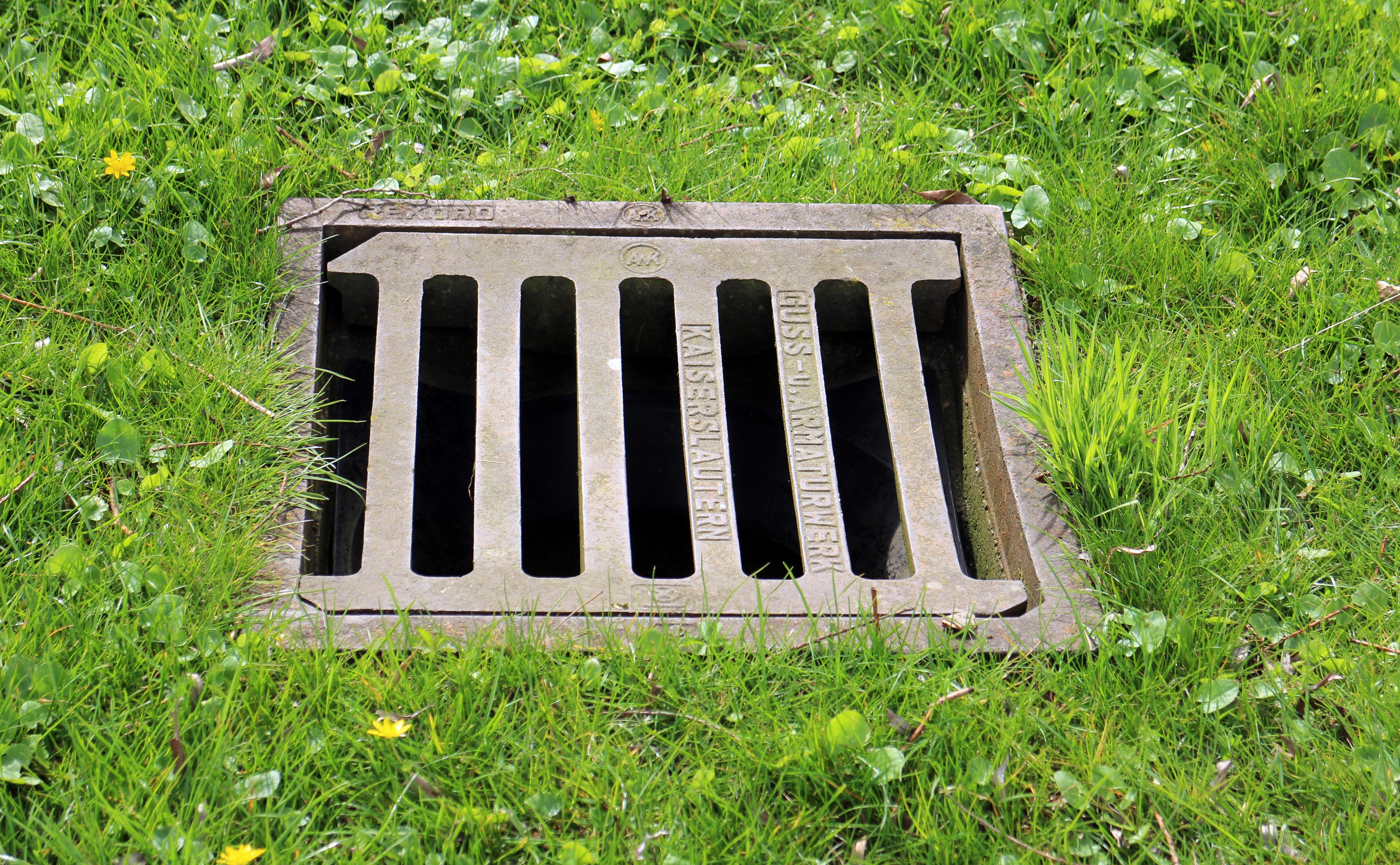 sewage system, gray, grill, sewage, grate, wastewater, barbecue, high angle view, manhole covers, metal, surrounded, manhole, cover, directly above, growth, HD Wallpaper