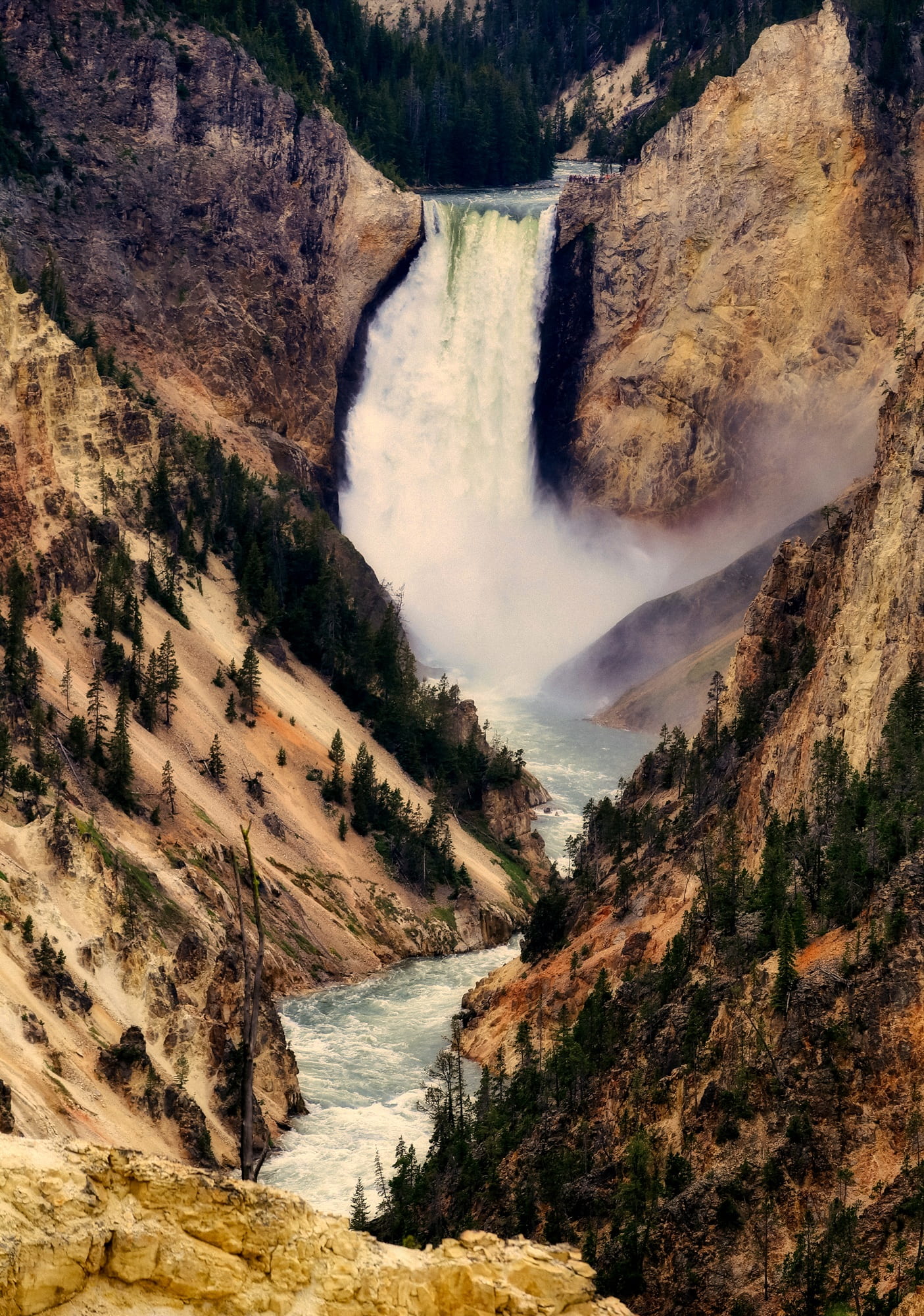 ravine, waterfall, nature, tranquility, trees, gully, water, power in nature, environment, non-urban scene, forest, landscape, flowing water, outdoors, Phone HD Wallpaper