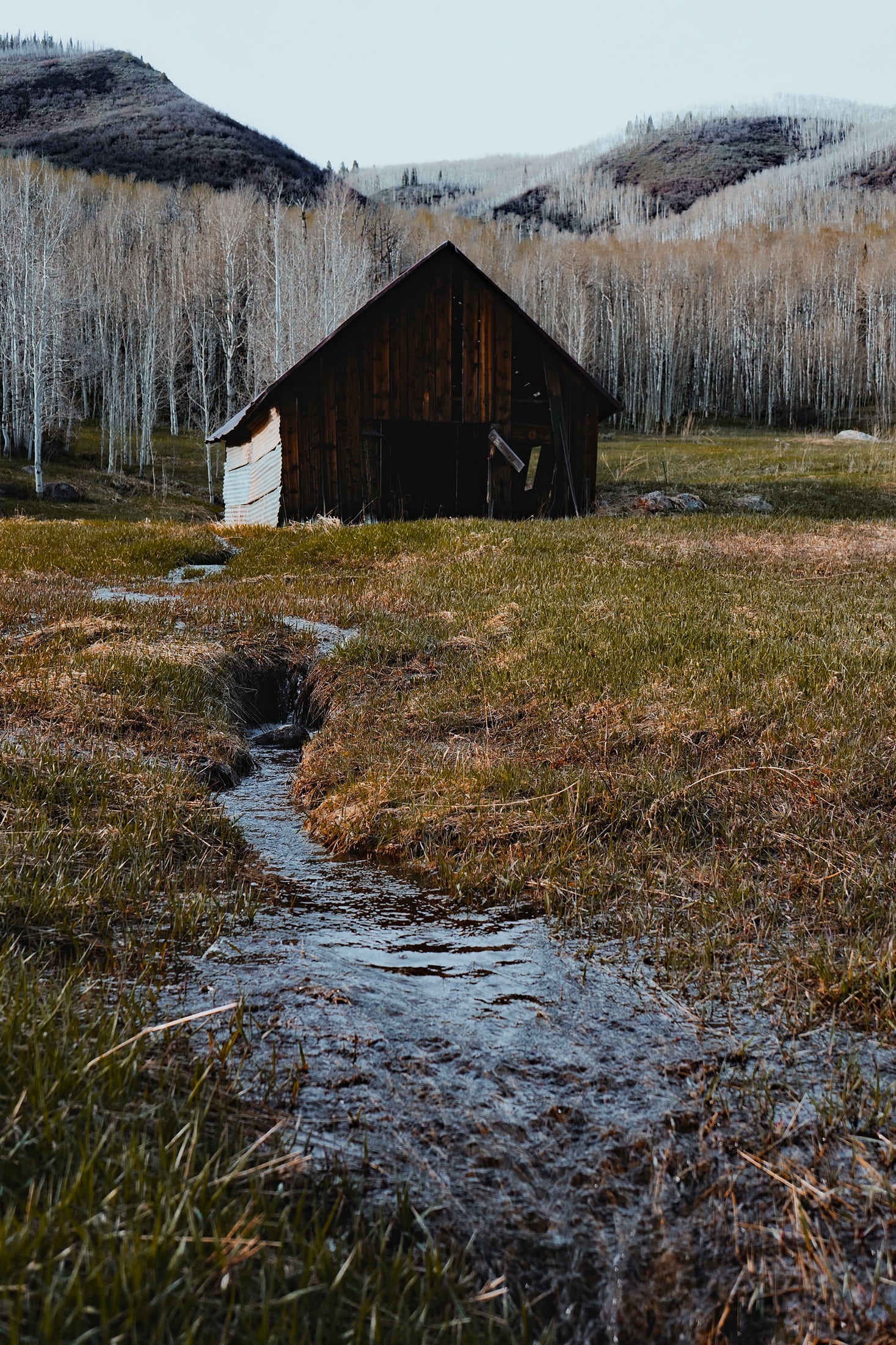 landscape, wood - material, land, brown, grass, forest, day, architecture, rural, tranquil scene, wooden, stream, sky, colorado, outdoors, hdr, tranquility, Phone HD Wallpaper