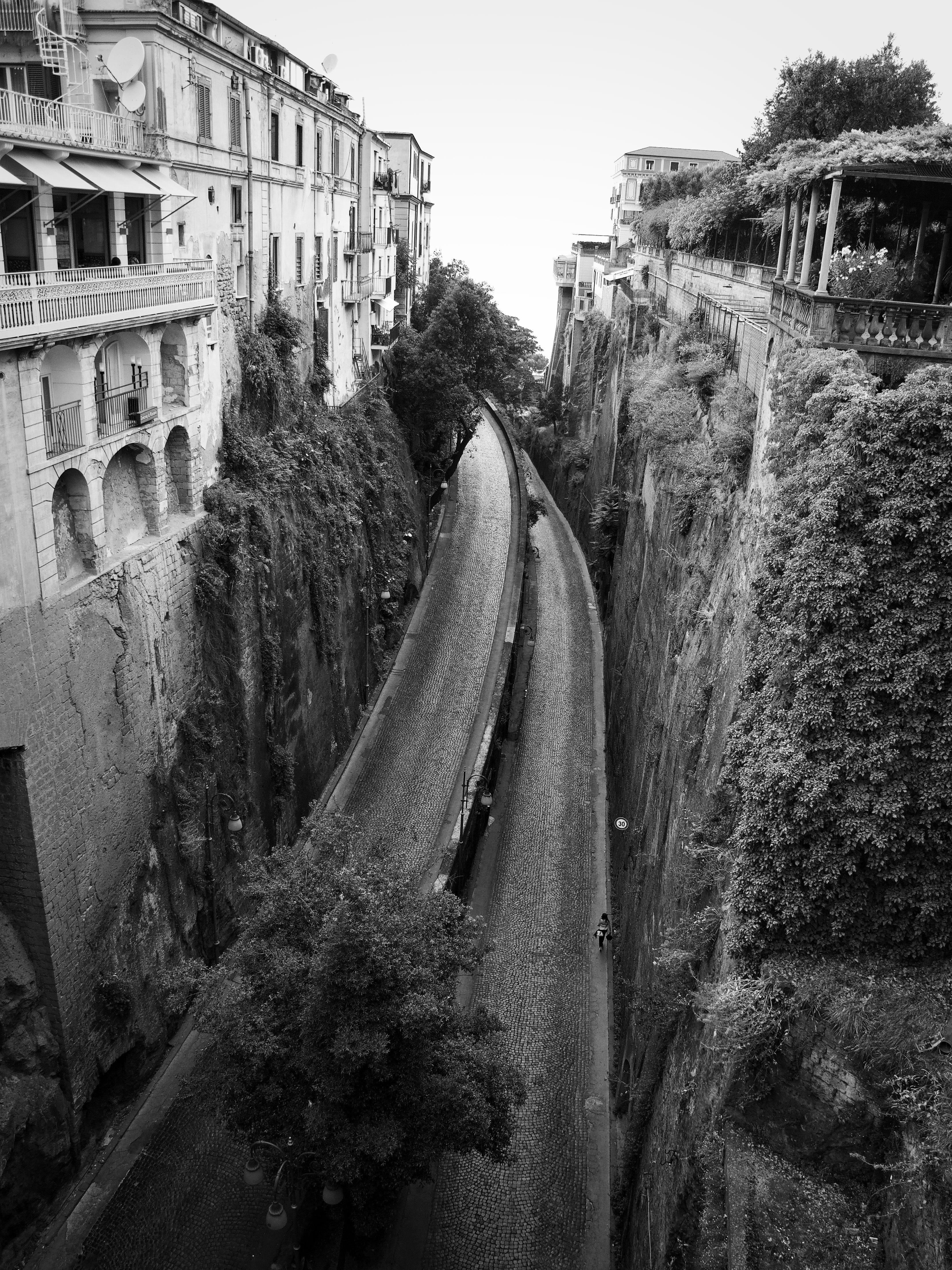 plant, tree, rocks, cutting, sky, italy, rail transportation, mode of transportation, day, history, sorrento, architecture, city, nature, 4K, building exterior, Phone HD Wallpaper