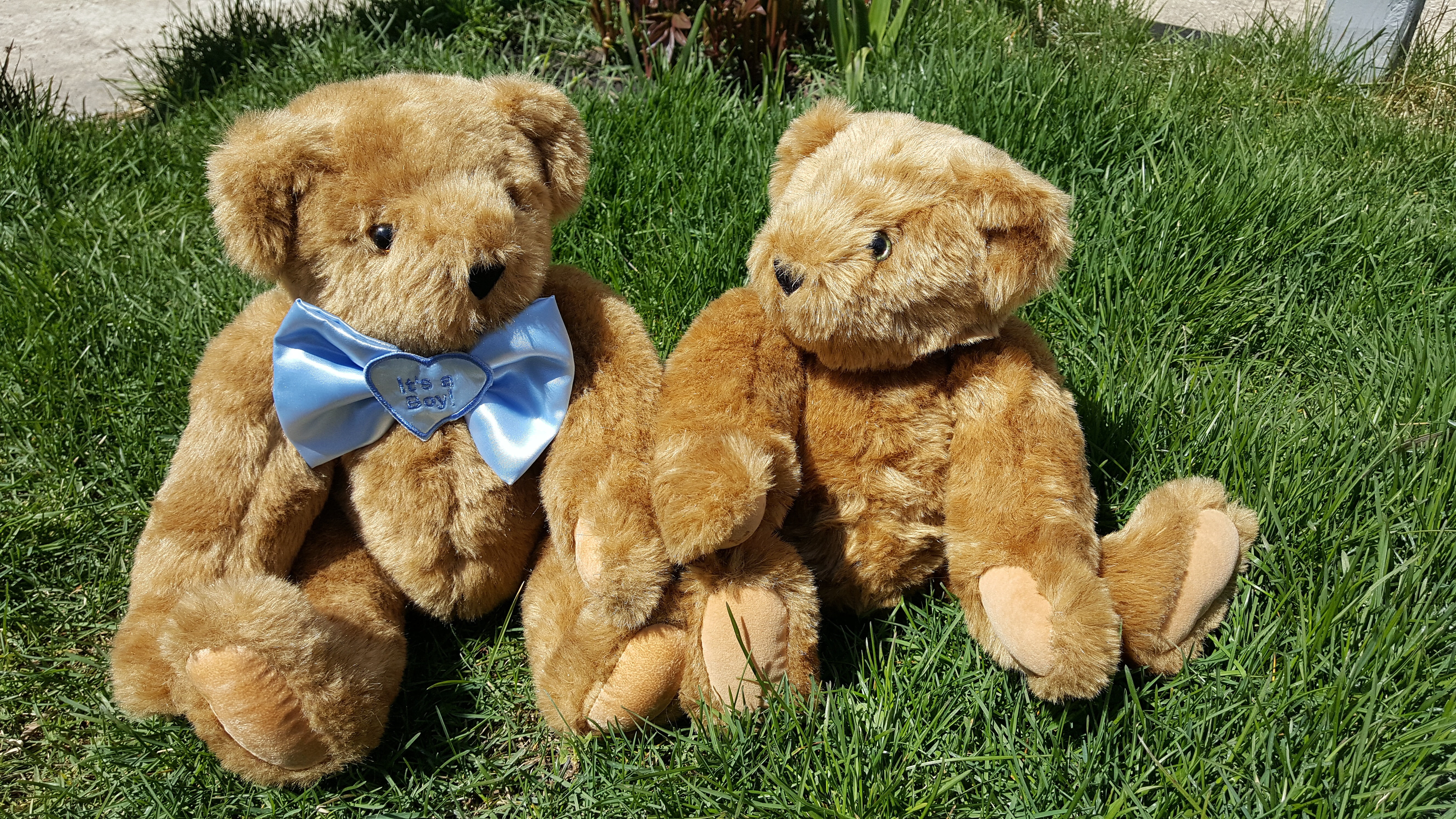childhood, love, teddy Bear, child, no People, animal, land, softness, two, grass, sitting, animal themes, domestic animals, mammal, couple, nature, romance, HD Wallpaper
