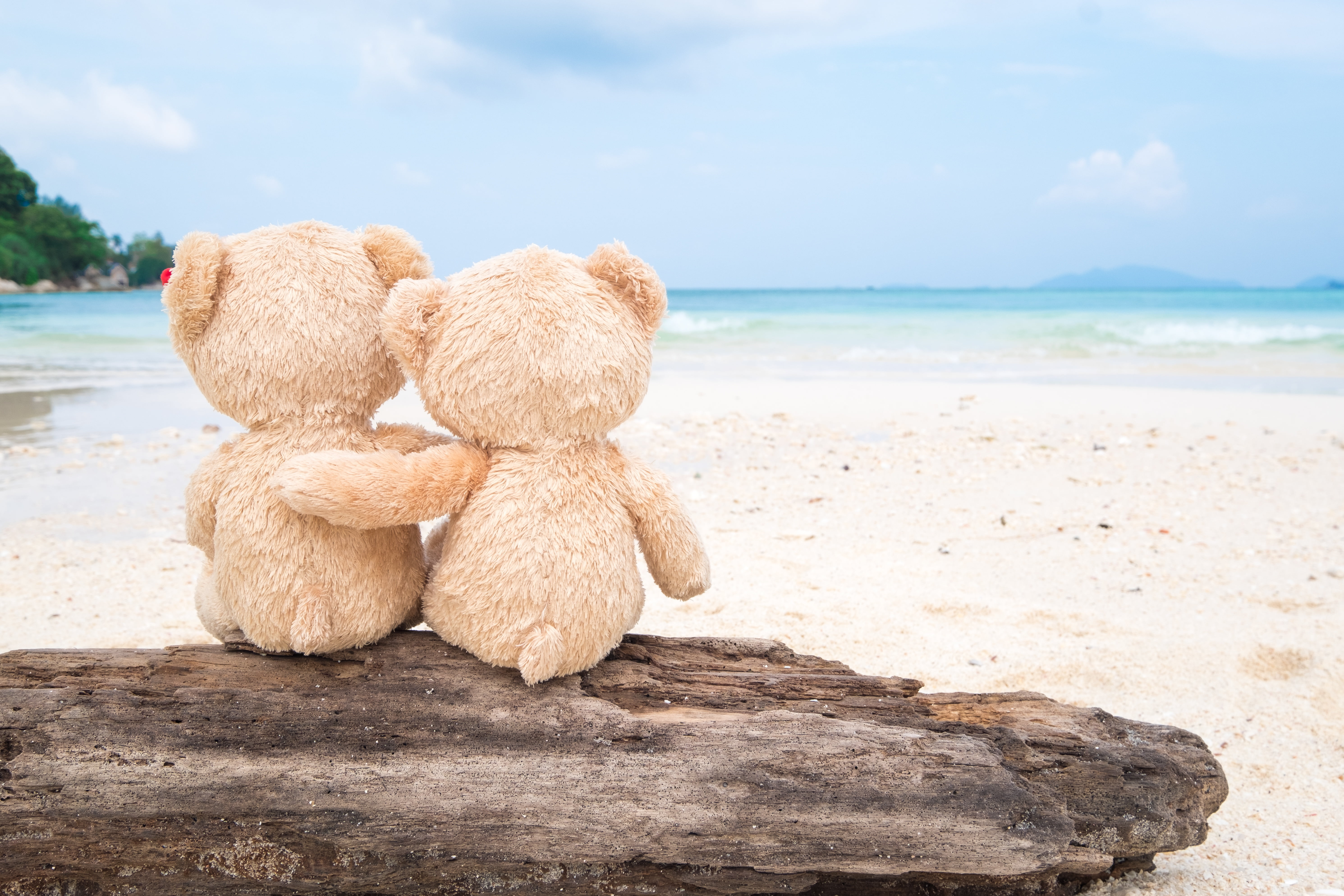 two, cute, pair, sand, Board, beach, bear, sea, romantic, toy, love, teddy, 5K, couple, HD Wallpaper