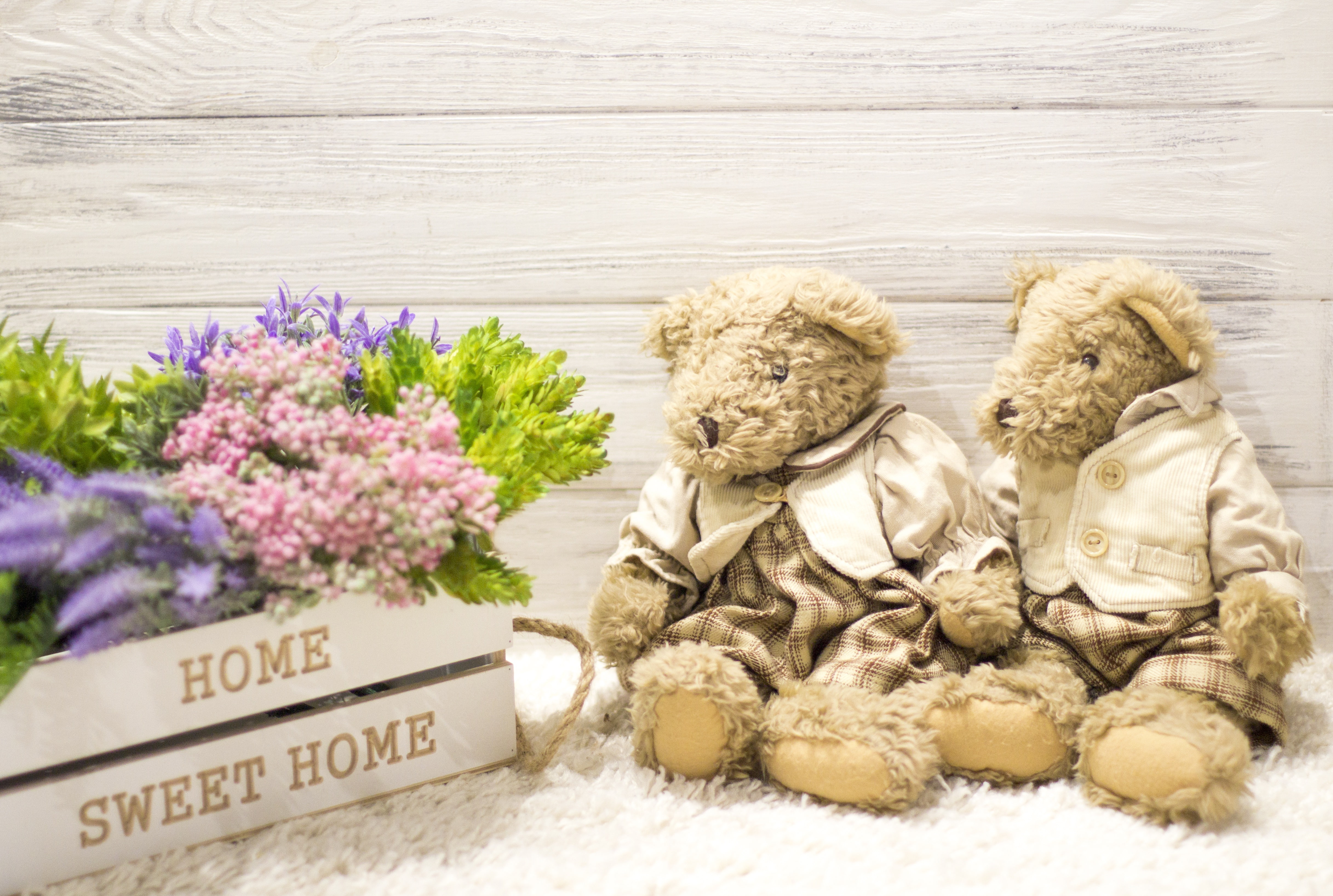 bear, toy, home, love, sweet, 4K, couple, romantic, bouquet, flowers, teddy, pair, wood, HD Wallpaper