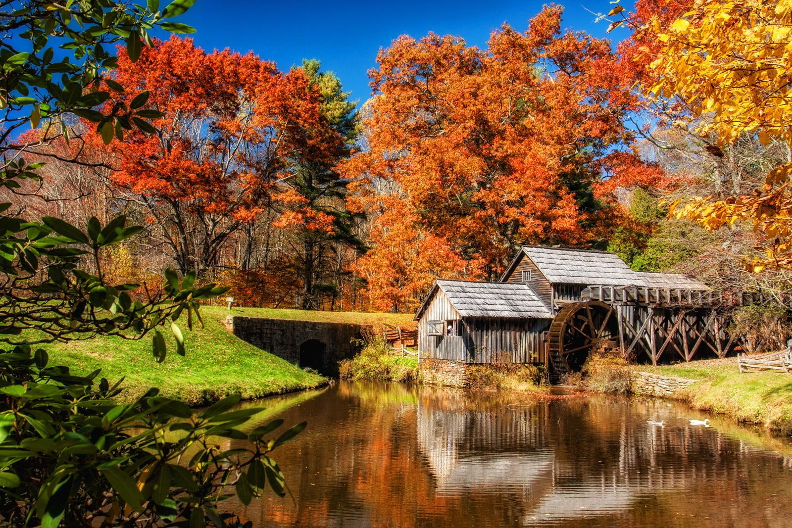 nice, lovely, trees, fall, calm, 720P, mill, autumn, grass, leaves, falling, mabry, season, water, lake, mabry-mill, shore, beautiful, HD Wallpaper