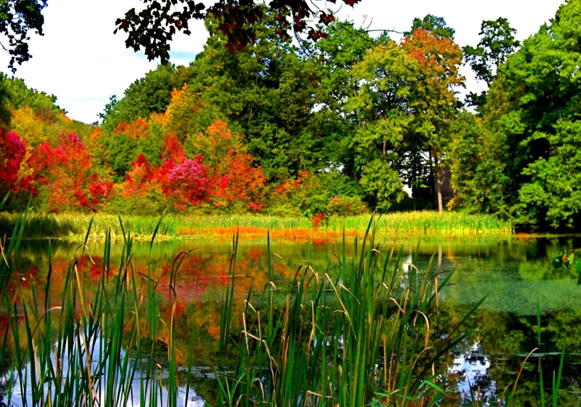 greenery, 1080P, beautiful, calm, falling, nice, trees, mirror, water, fall, two, seasons, lake, delight, lovely, HD Wallpaper