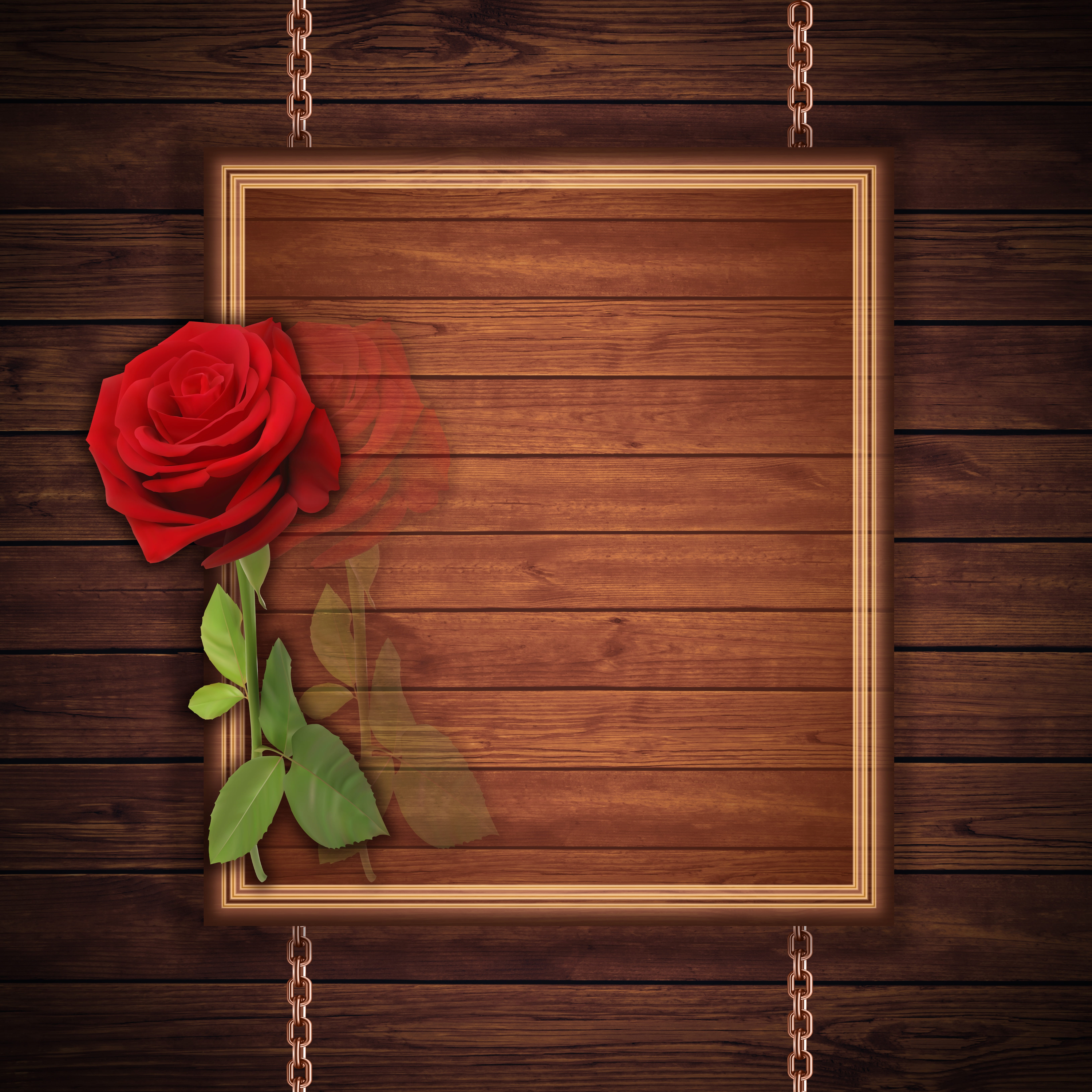 flower, texture, plant, background, indoors, vulnerability, design, illustration, rose - flower, red rose, table, brown, no people, high angle view, flowering plant, Phone HD Wallpaper