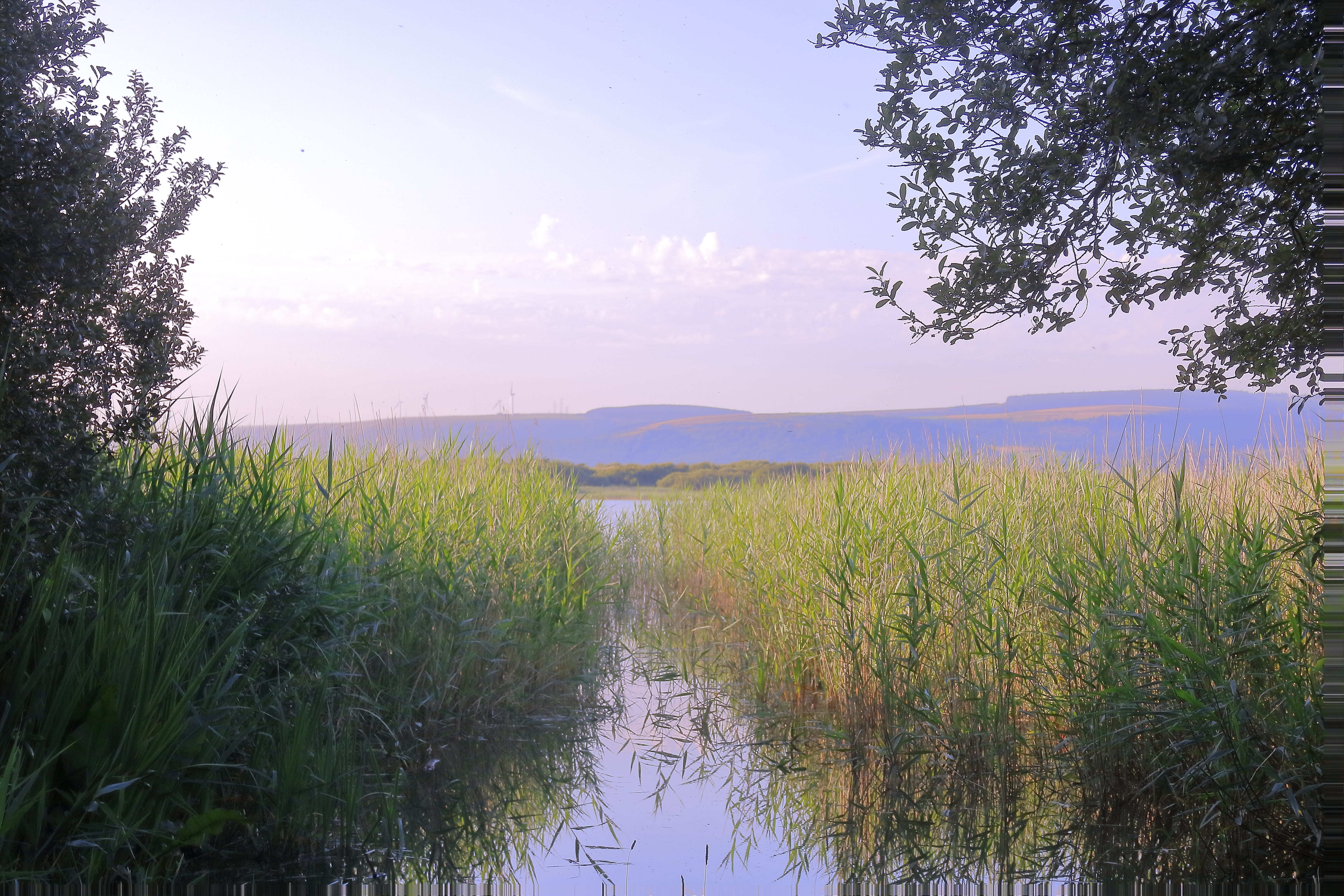 nature, reflection, swamp, lifestyle, tree, day, growth, tranquil scene, First-Person, relaxation, scenics - nature, non-urban scene, landscape, cloud - sky, HD Wallpaper
