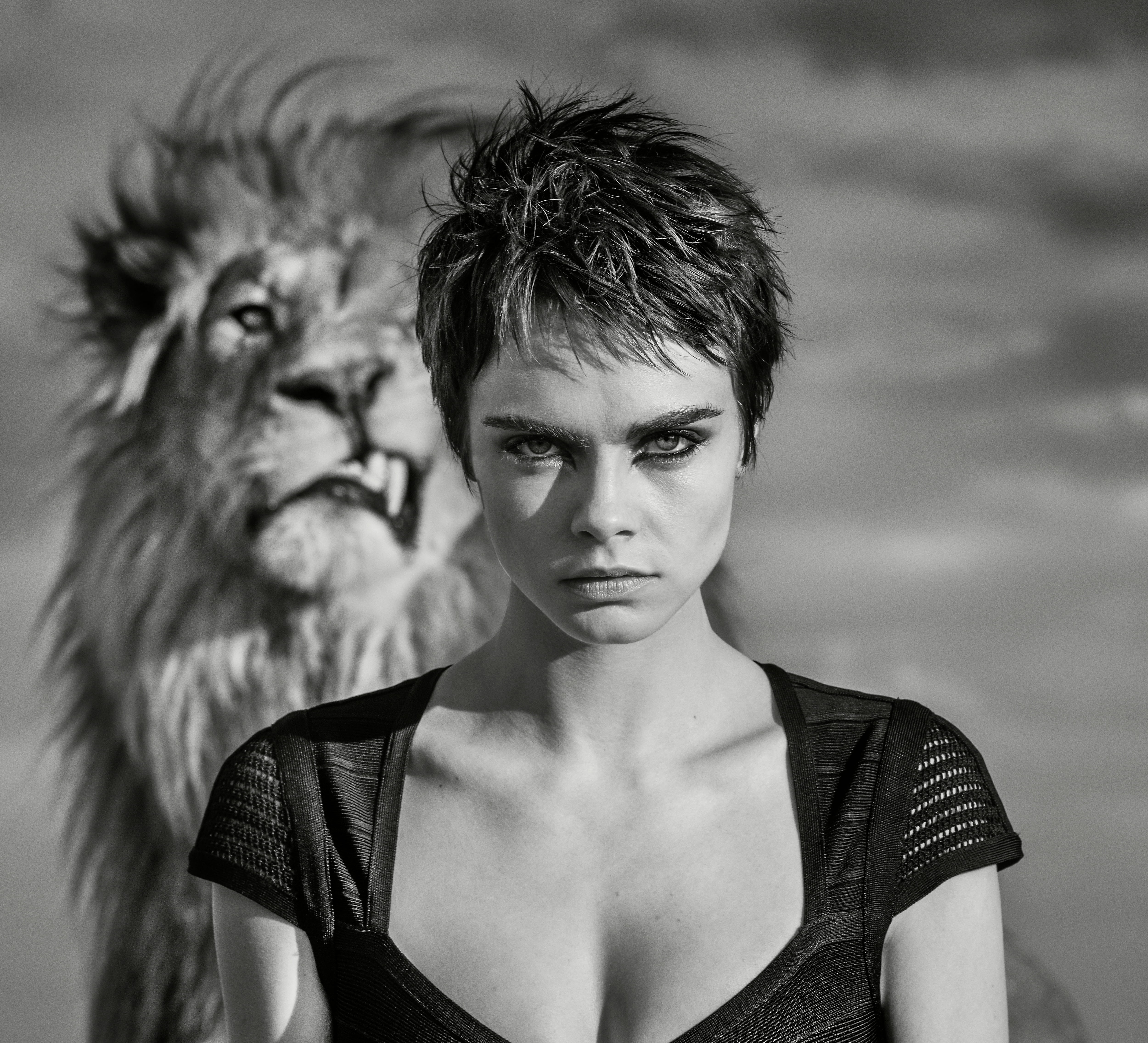 Cara Delevingne, English, Actress, 4K, Models, Short Hair, Model, Lion, Monochrome, HD Wallpaper