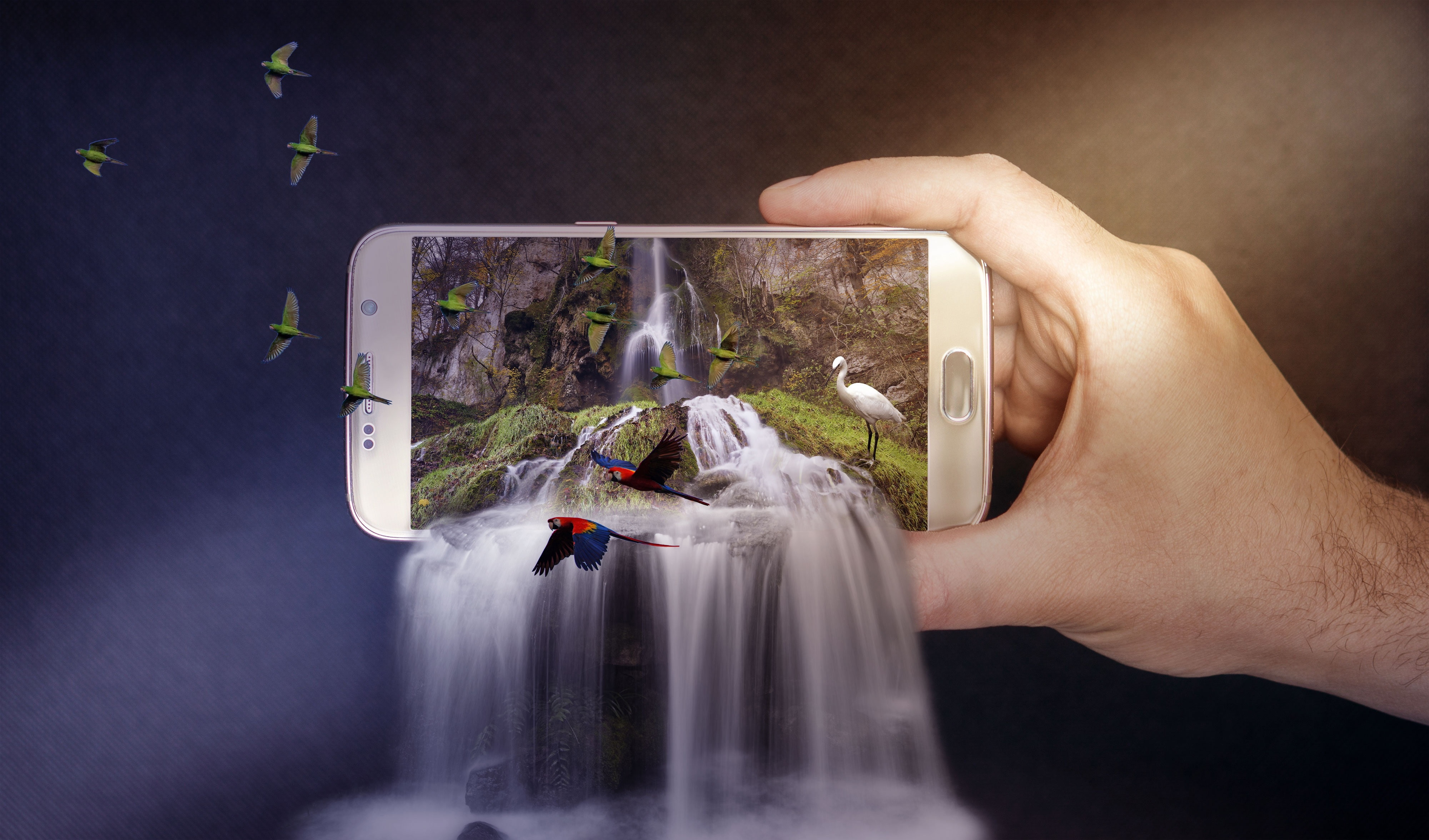 water, artwork, activity, wireless technology, studio shot, one person, 4K, waterfall, digital composite, black background, birds, human hand, hand, human body part, HD Wallpaper