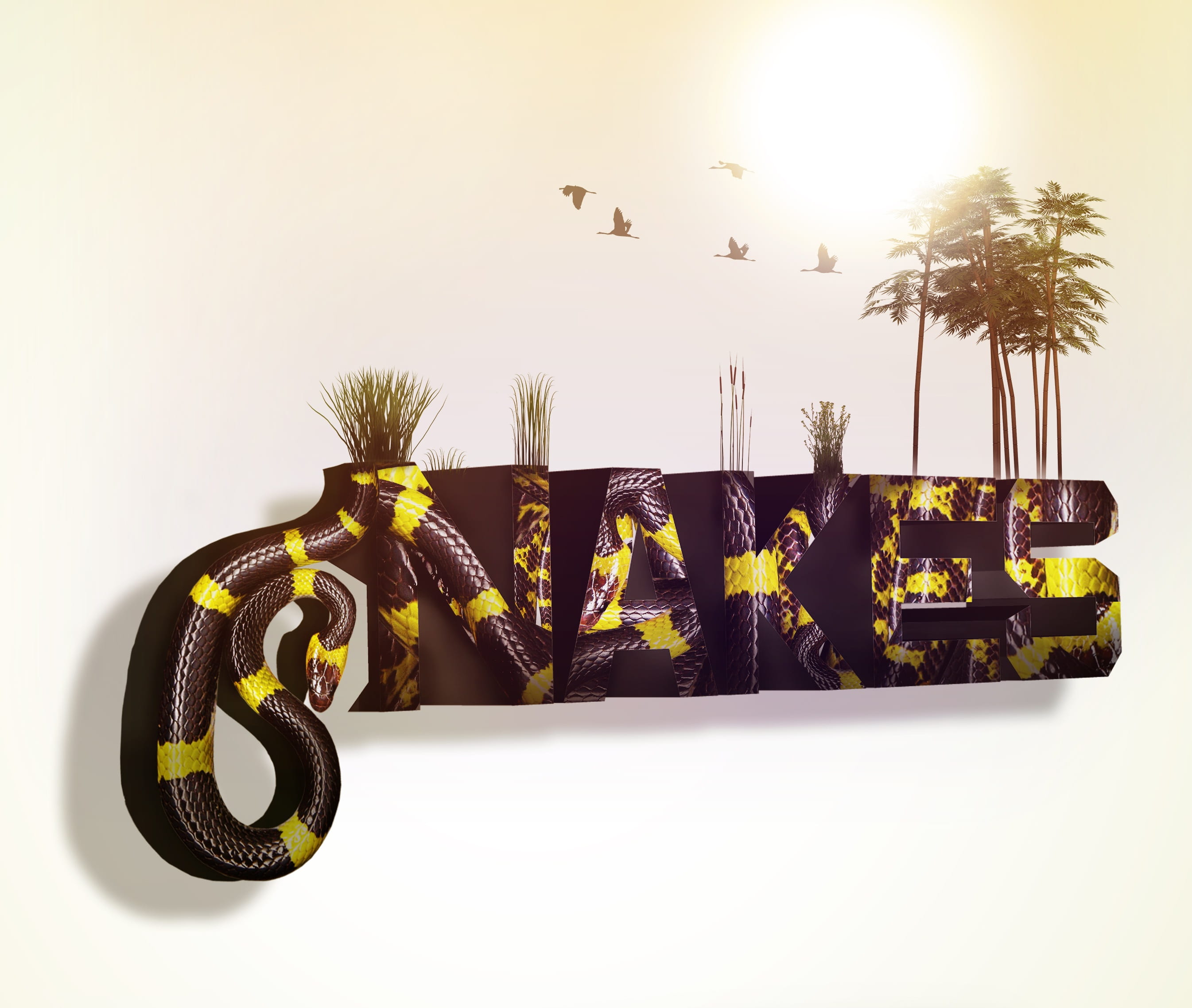 indoors, photoshop 2017, black color, nature, modern, plant, illustration, assembly, snake, vertebrate, texture, text, day, mounting hd, tropical climate, HD Wallpaper
