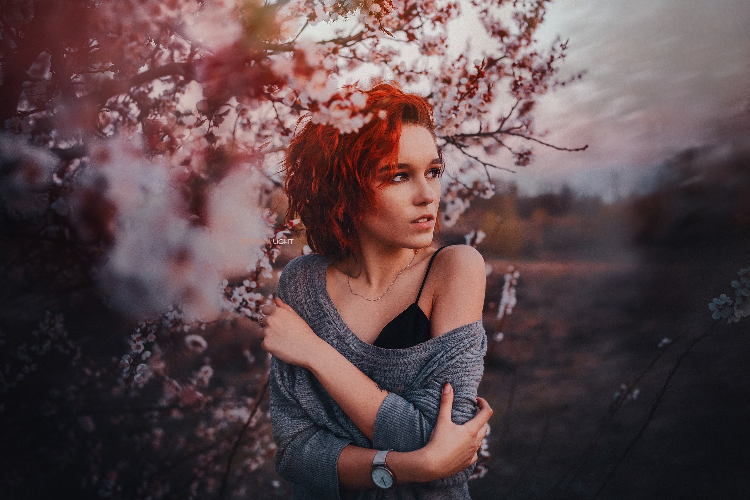 2K, Maria, the wind, Marie Larin, Alexander Drobkov-Light, HD Wallpaper