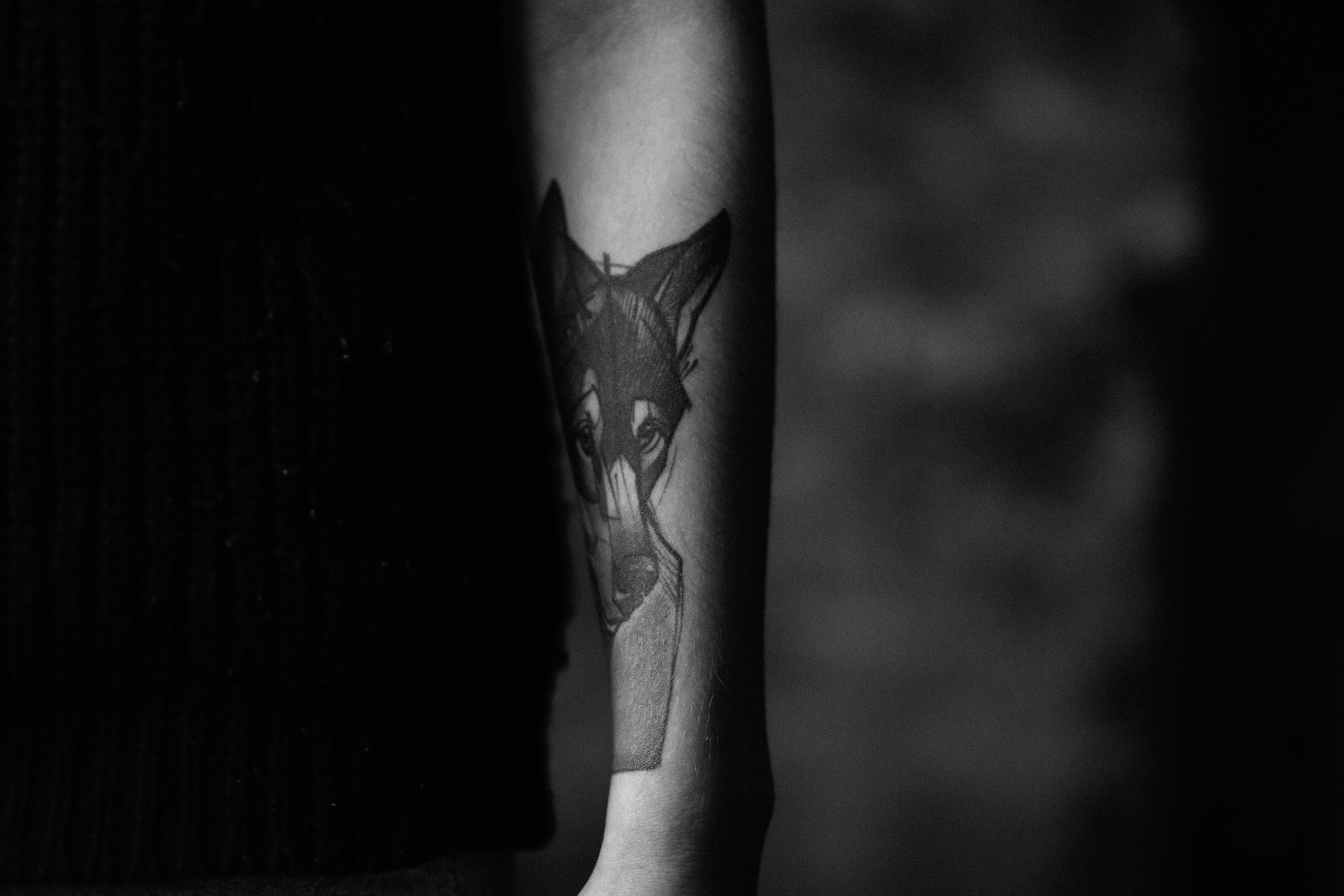 human face, creative, girl, design, close-up, human limb, female, human skin, fashion, tattoo, finger, art, limb, skin, hand, black background, adult, closeup, HD Wallpaper