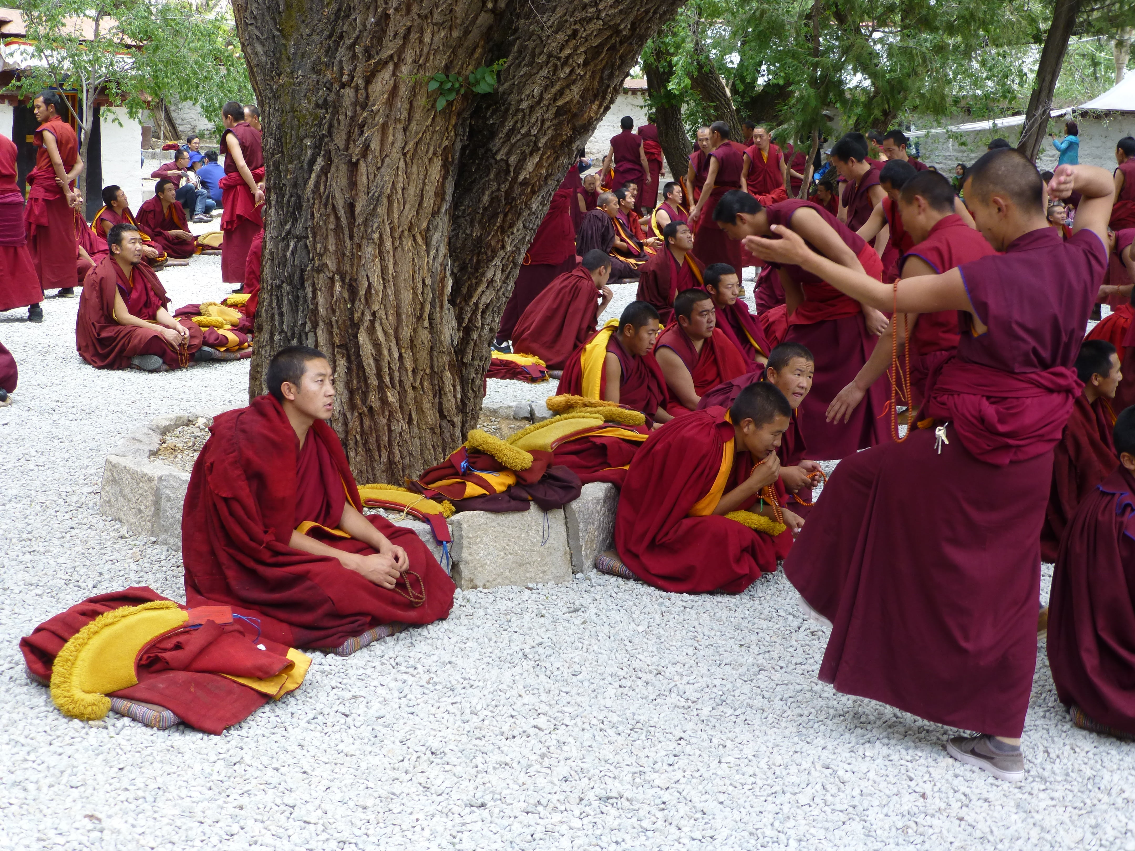 real people, street, 4K, buddhist, debate session, celebration, buddhism, sera monastery, clothing, sera, festival, adult, gelugpa, day, men, plant, large group of people, HD Wallpaper