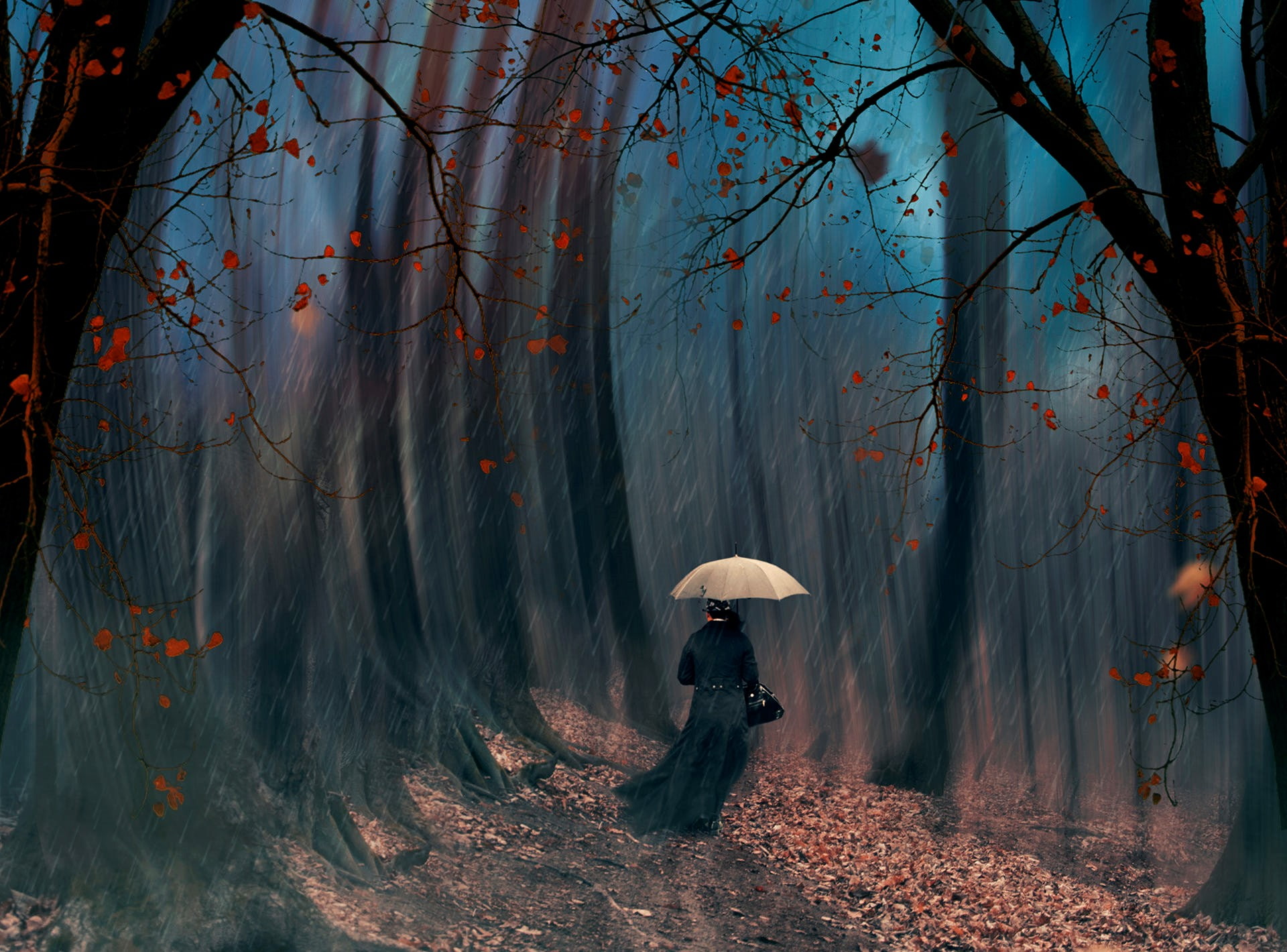 leaves, trees, roads, retouching, nature, girls, rain, 1080P, objects, autumn, HD Wallpaper