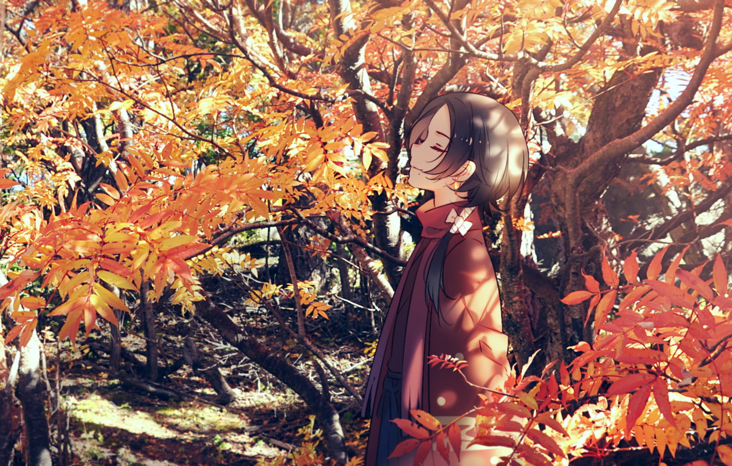 720P, men, manga, widescreen, autumn, retouch, nature, forest, games, HD Wallpaper