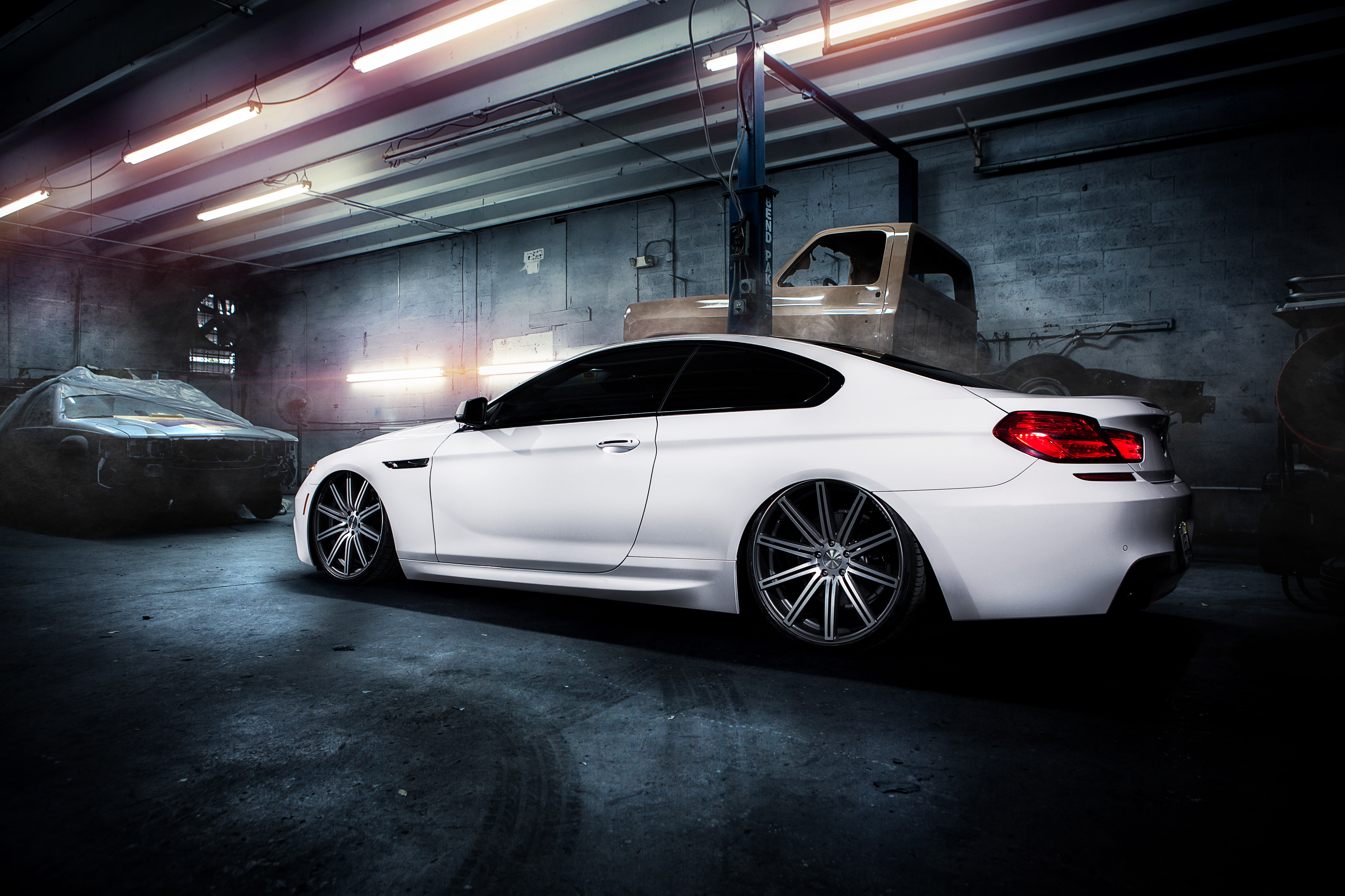 retouch, 5K, vossen, HD Wallpaper