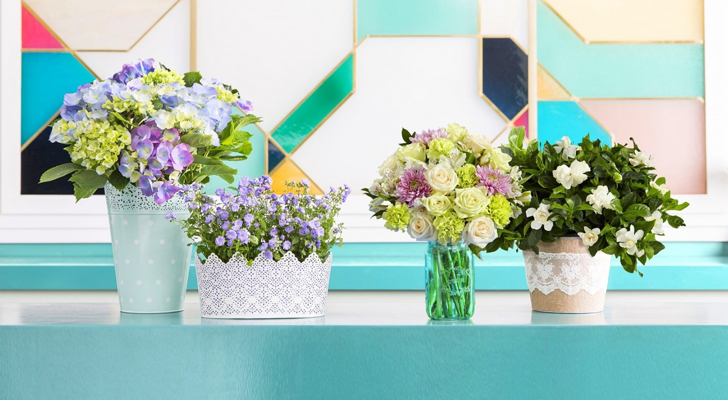 roses, 720P, white flowers, blue flowers, purple flowers, vases, flowers, HD Wallpaper