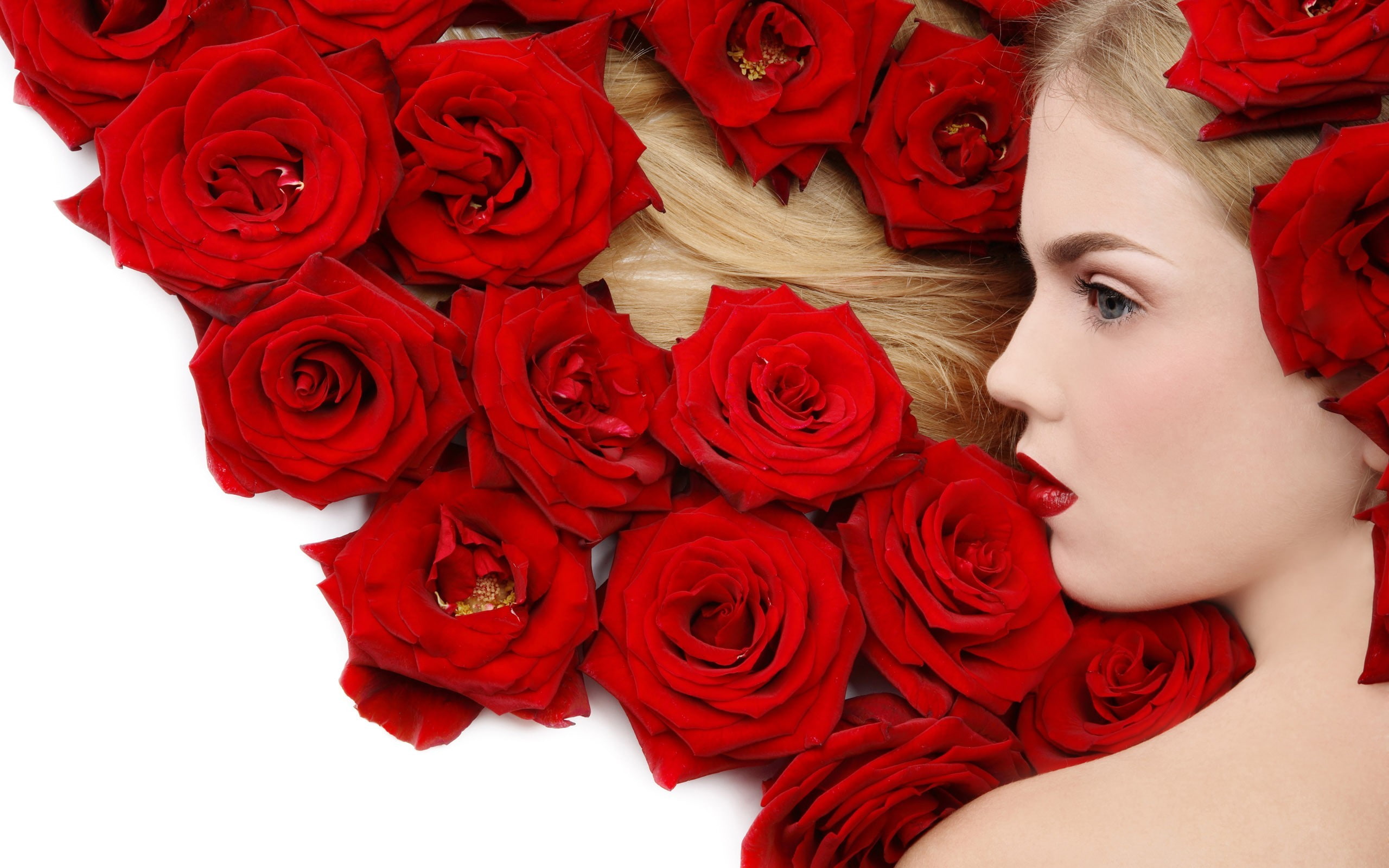 rose, women, headshot, flower head, beautiful woman, one person, blue eyes, petal, red, bouquet, face, portrait, plant, blonde, flowering plant, flower arrangement, HD Wallpaper