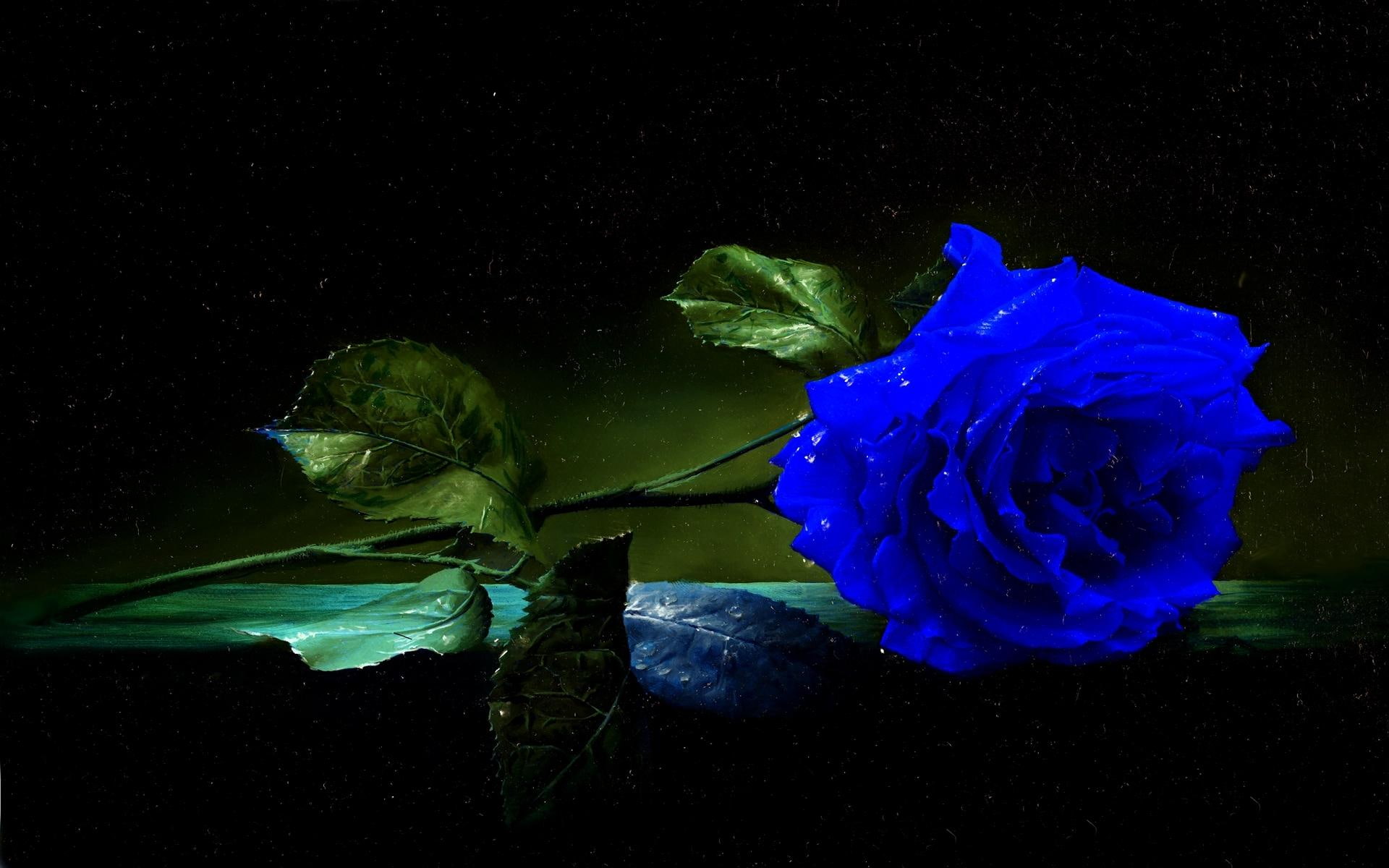 3d and abstract, table, stem, leaves, blue, 1080P, rose, HD Wallpaper
