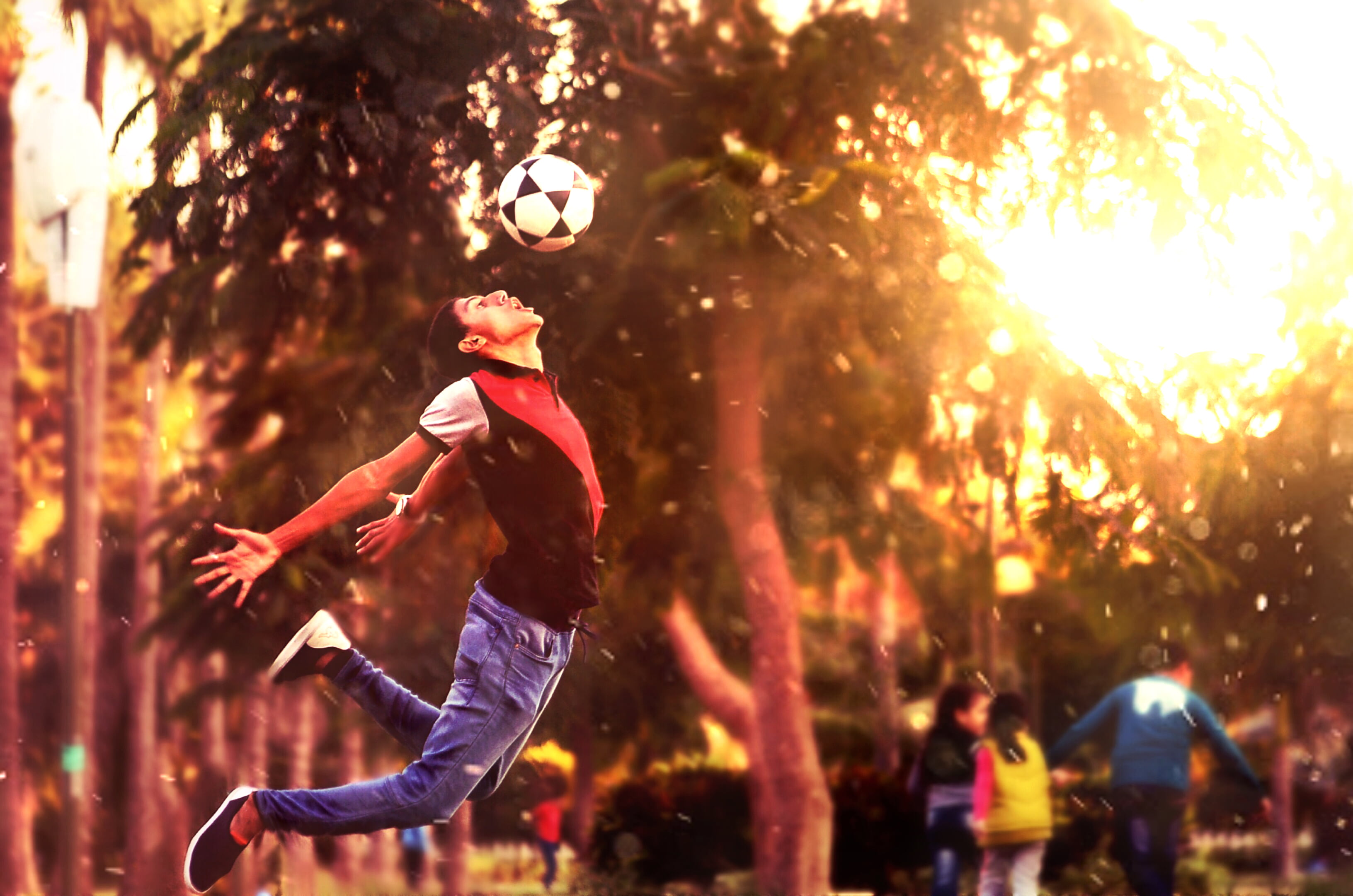 plant, child, jumping, enjoyment, motion, men, soccerball, casual clothing, soccer, soccer ball, adults only, nature, people, clothing, sunset, playing, HD Wallpaper