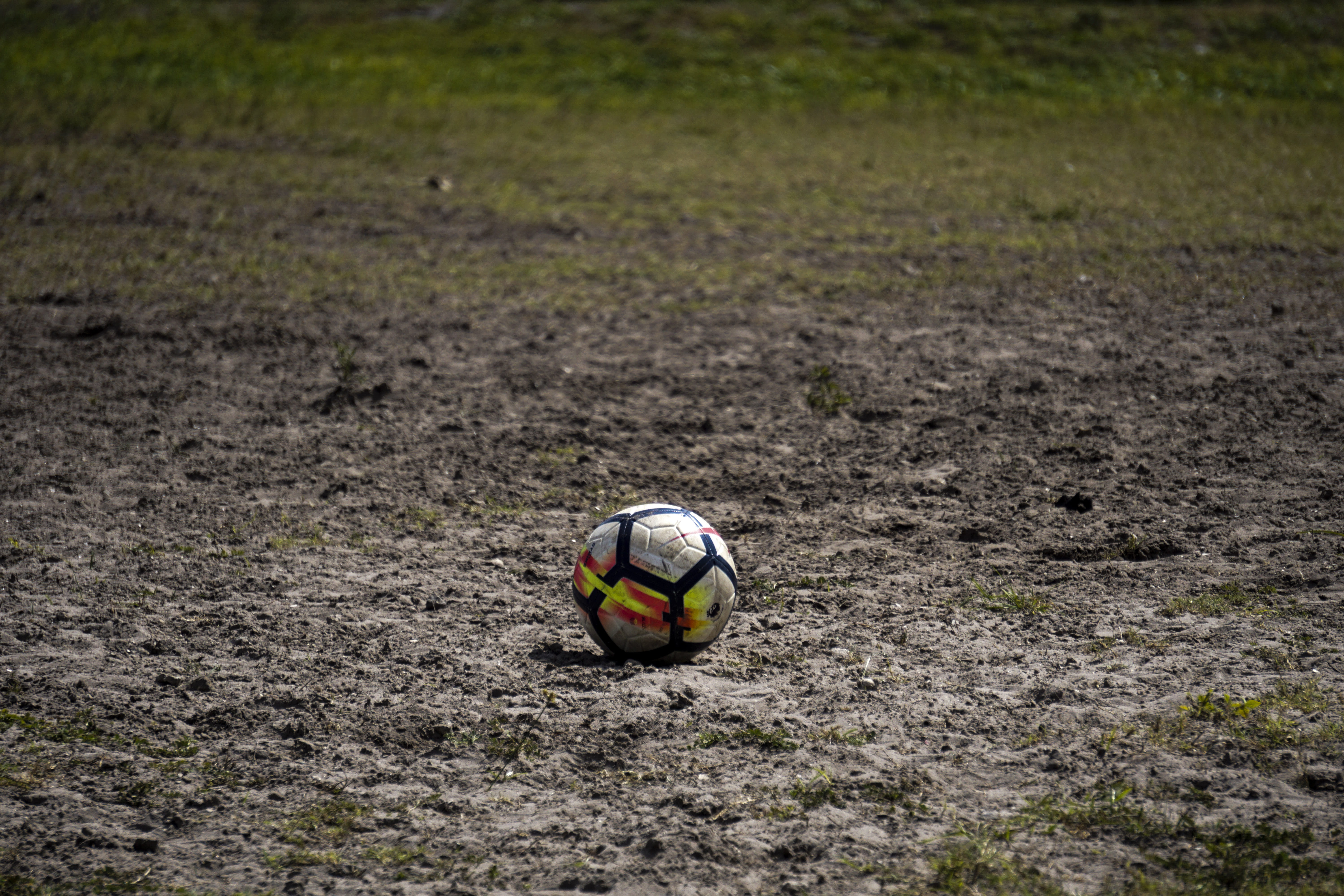 journey, ball, focus on foreground, land, animals in the wild, outdoor, no people, one animal, team sport, animal wildlife, day, nike, soccer ball, 5K, HD Wallpaper
