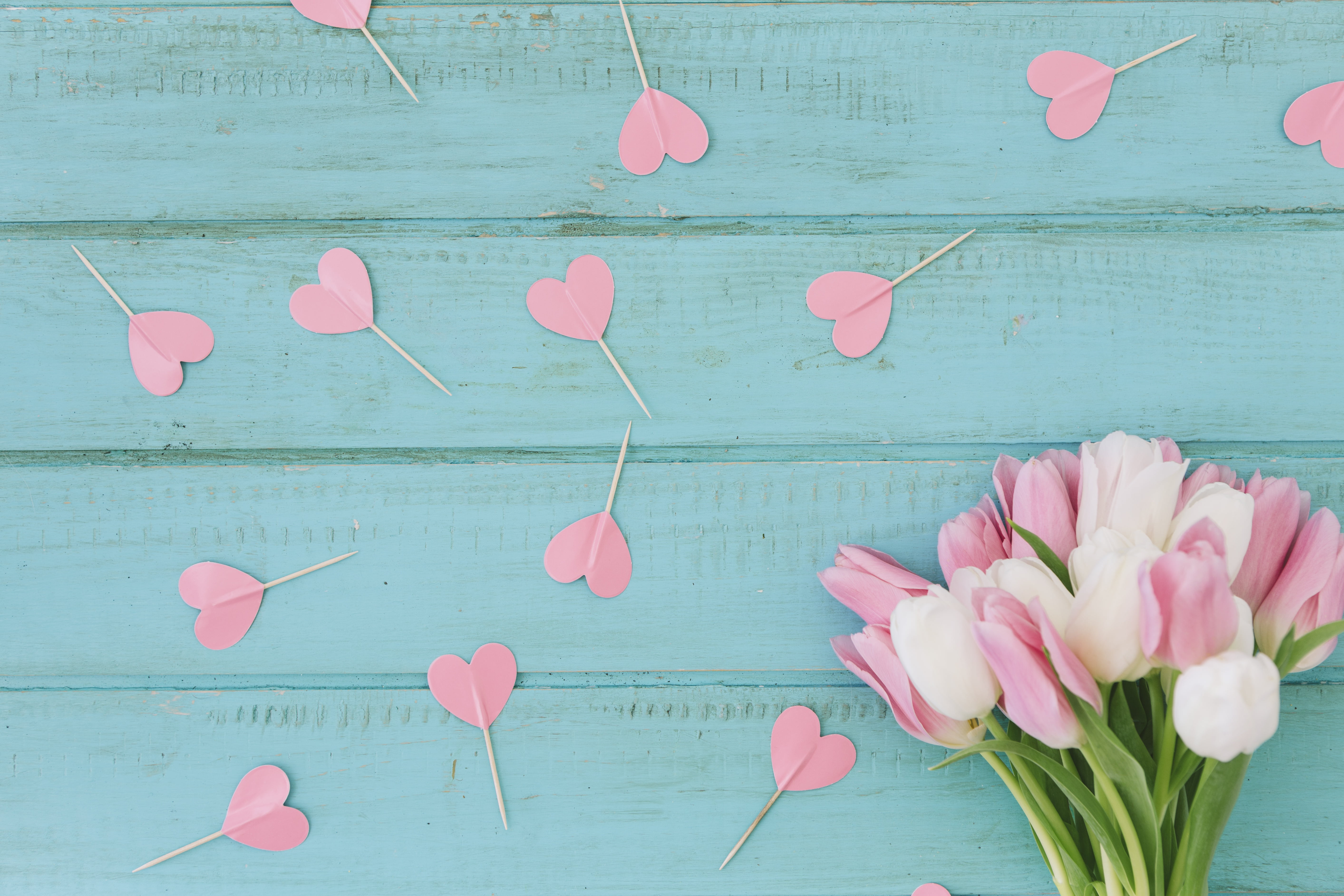 hearts, wood, blue, 5K, bouquet, background, tulips, HD Wallpaper