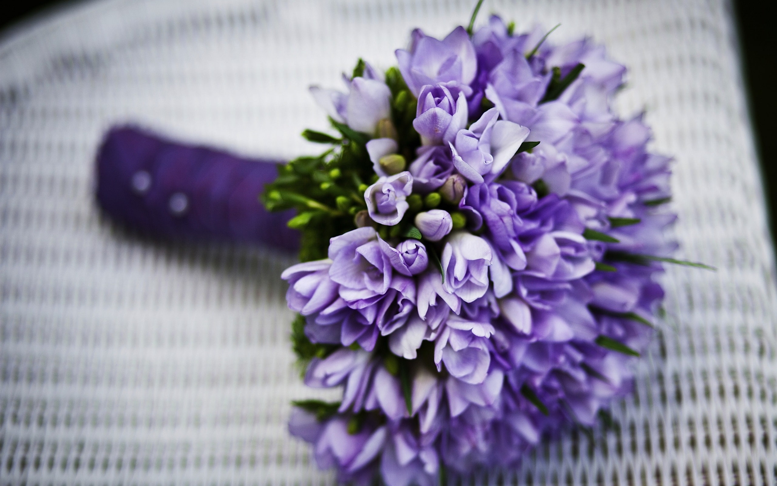2K, Tulips, Blue, Bouquet, Flowers, HD Wallpaper
