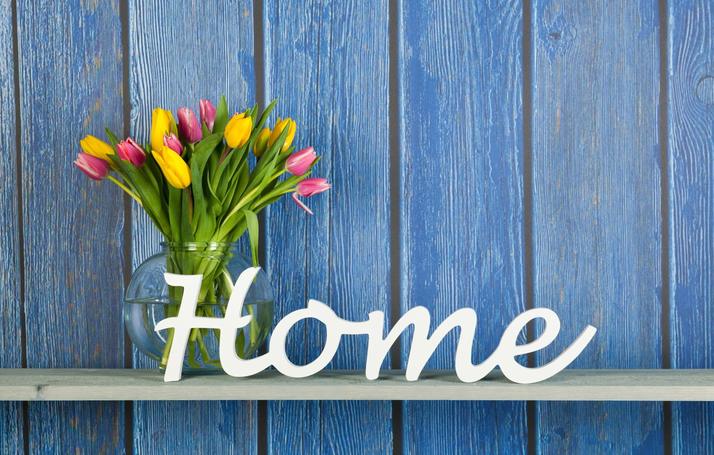 petal, inflorescence, outdoors, tulip, wood - material, bunch of flowers, fragility, home, word, blue, communication, beauty in nature, close-up, western script, HD Wallpaper