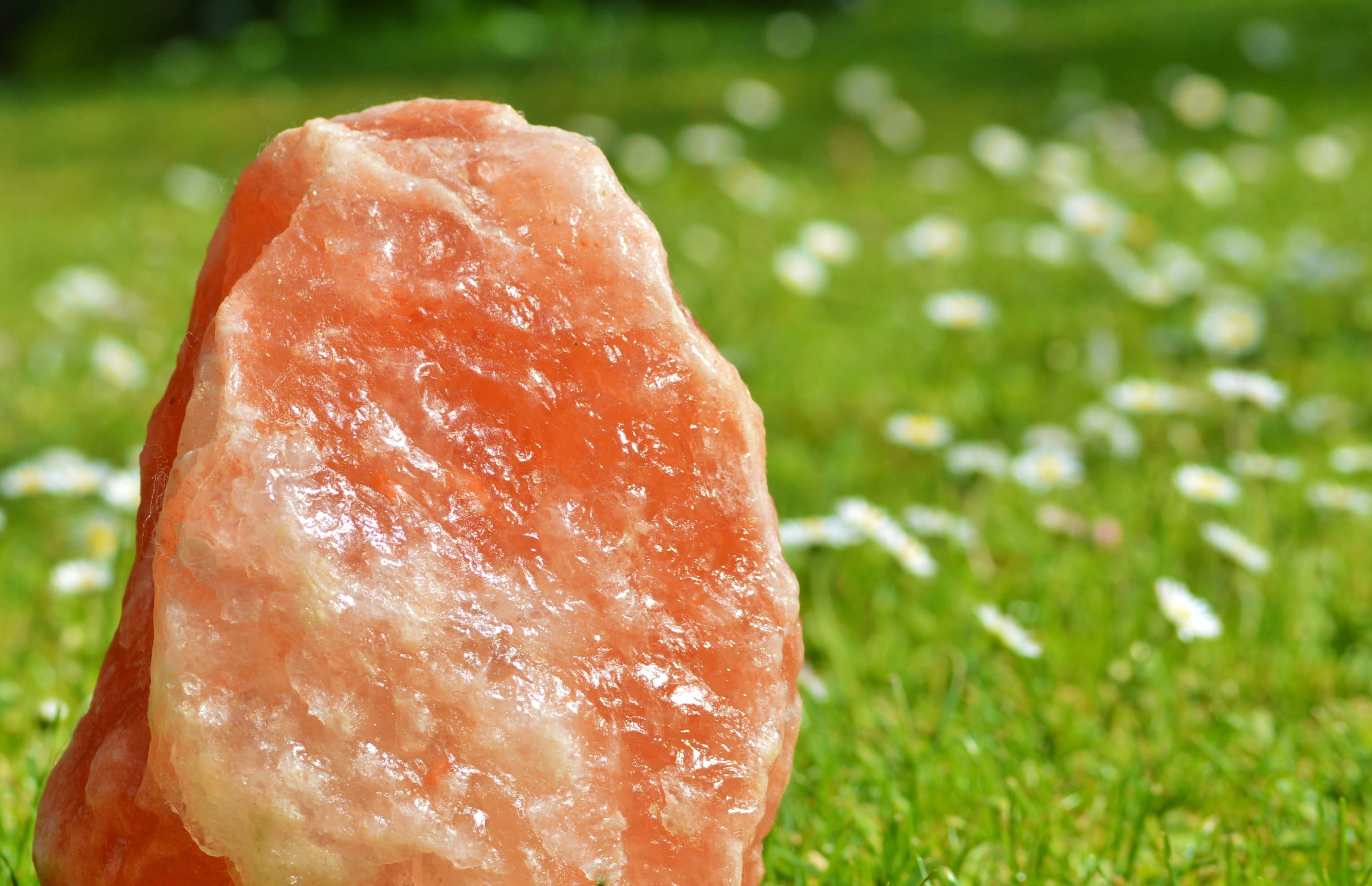 plant, field, Rock Salt, nature, grass, focus on foreground, halitit, extreme close-up, outdoors, ready-to-eat, land, stone, summer, no people, still life, HD Wallpaper