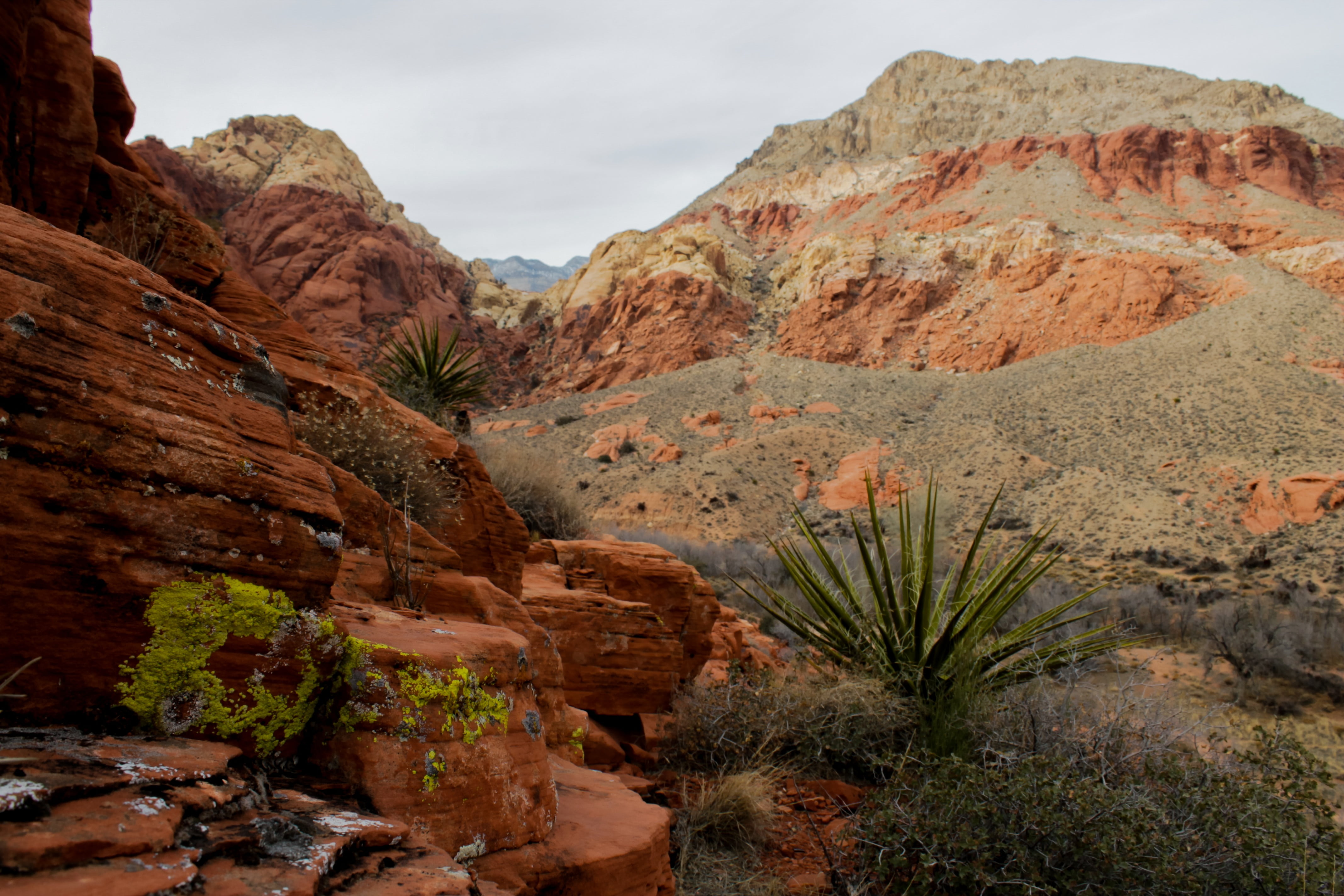 environment, canyon, utah, scenics - nature, orange, sedimentary, natural, layer, rock - object, structure, rock formation, travel destinations, travel, HD Wallpaper