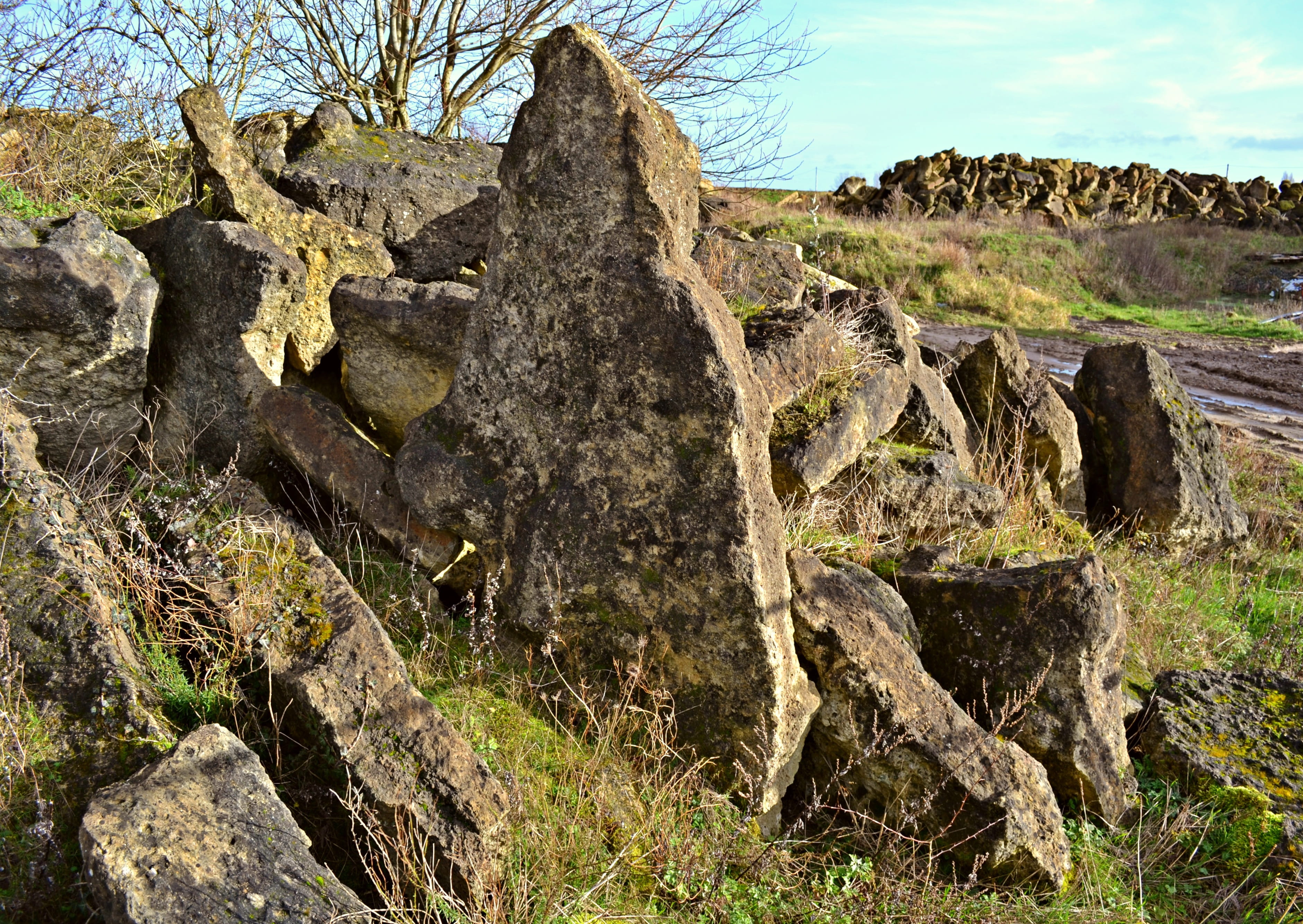 rock, scenics - nature, rock formation, day, 2K, sky, no people, eroded, growth, tree, rock - object, solid, plant, field, nature, outdoors, tranquility, HD Wallpaper