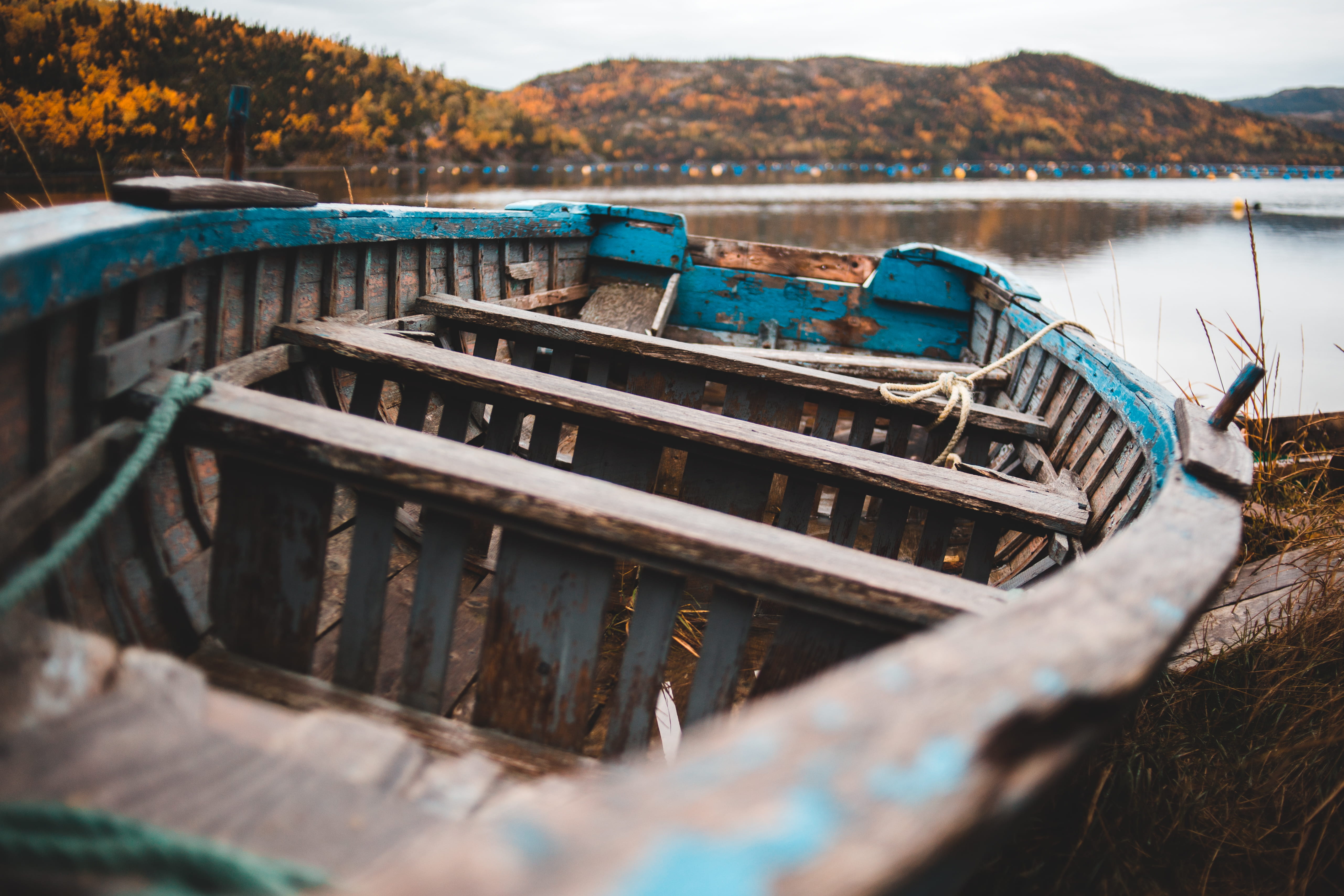 wood - material, day, plant, lake, 5K, brown, moored, cruise ship, beach, dinghy, nautical vessel, ship, dock, vessel, ocean liner, canada, tranquility, HD Wallpaper