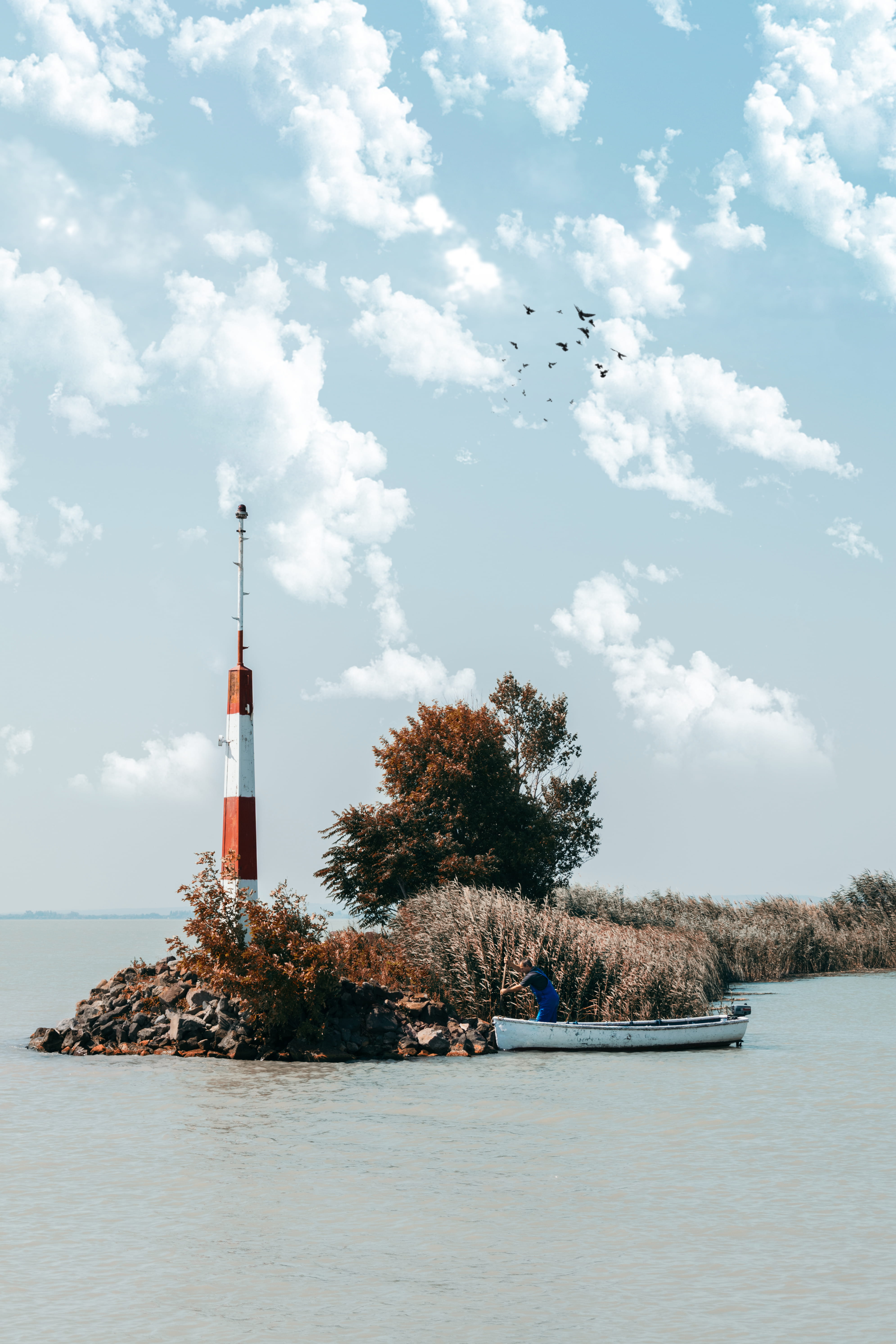 animal, lake, nature, steeple, scenics - nature, day, cloud - sky, plants, plant, tower, architecture, spire, building exterior, building, sky, beauty in nature, Phone HD Wallpaper