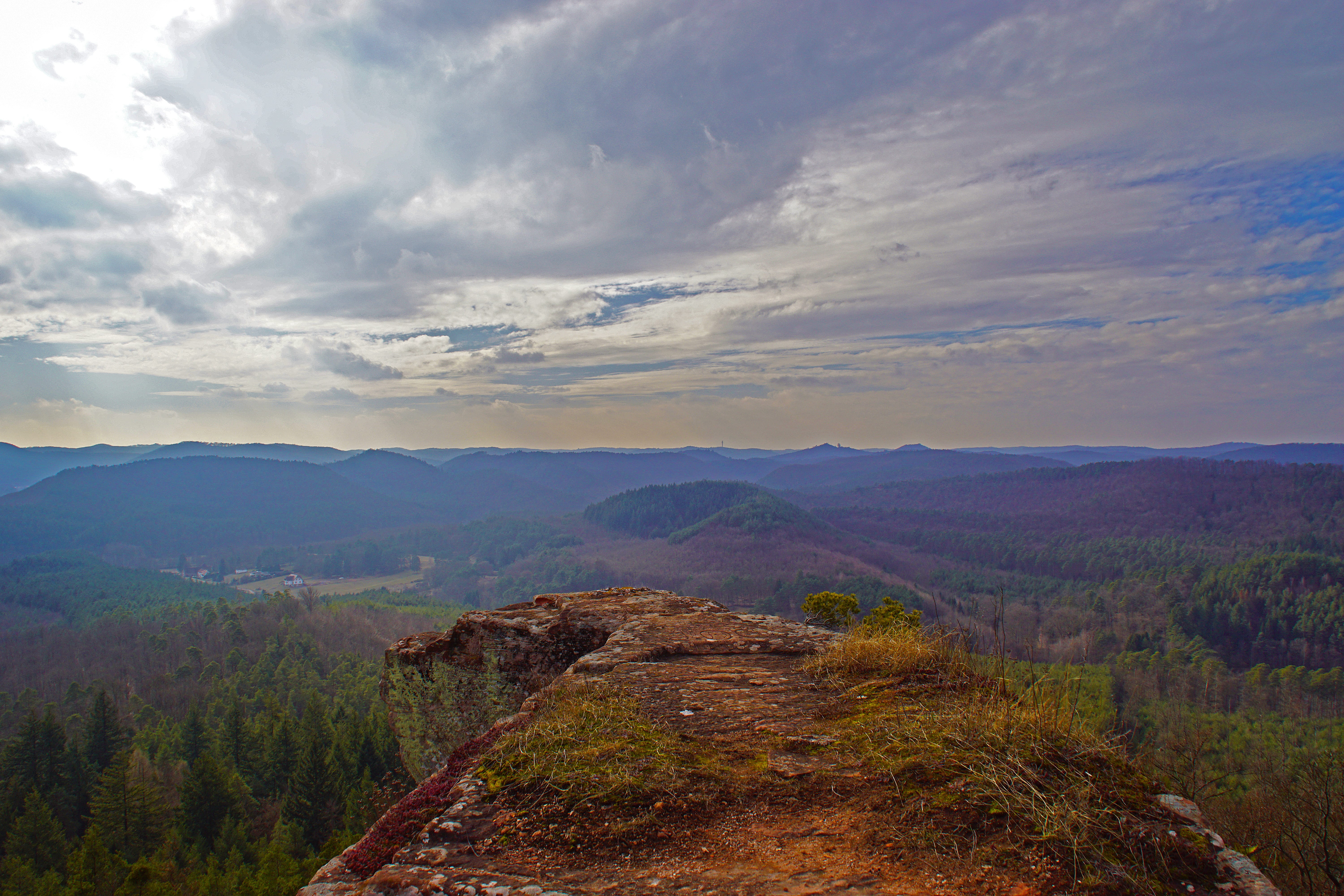 tree, no people, panoramic views, scenics - nature, beauty in nature, Views, scenics, mountain range, vosges north, tranquil scene, tranquility, falkenstein, HD Wallpaper
