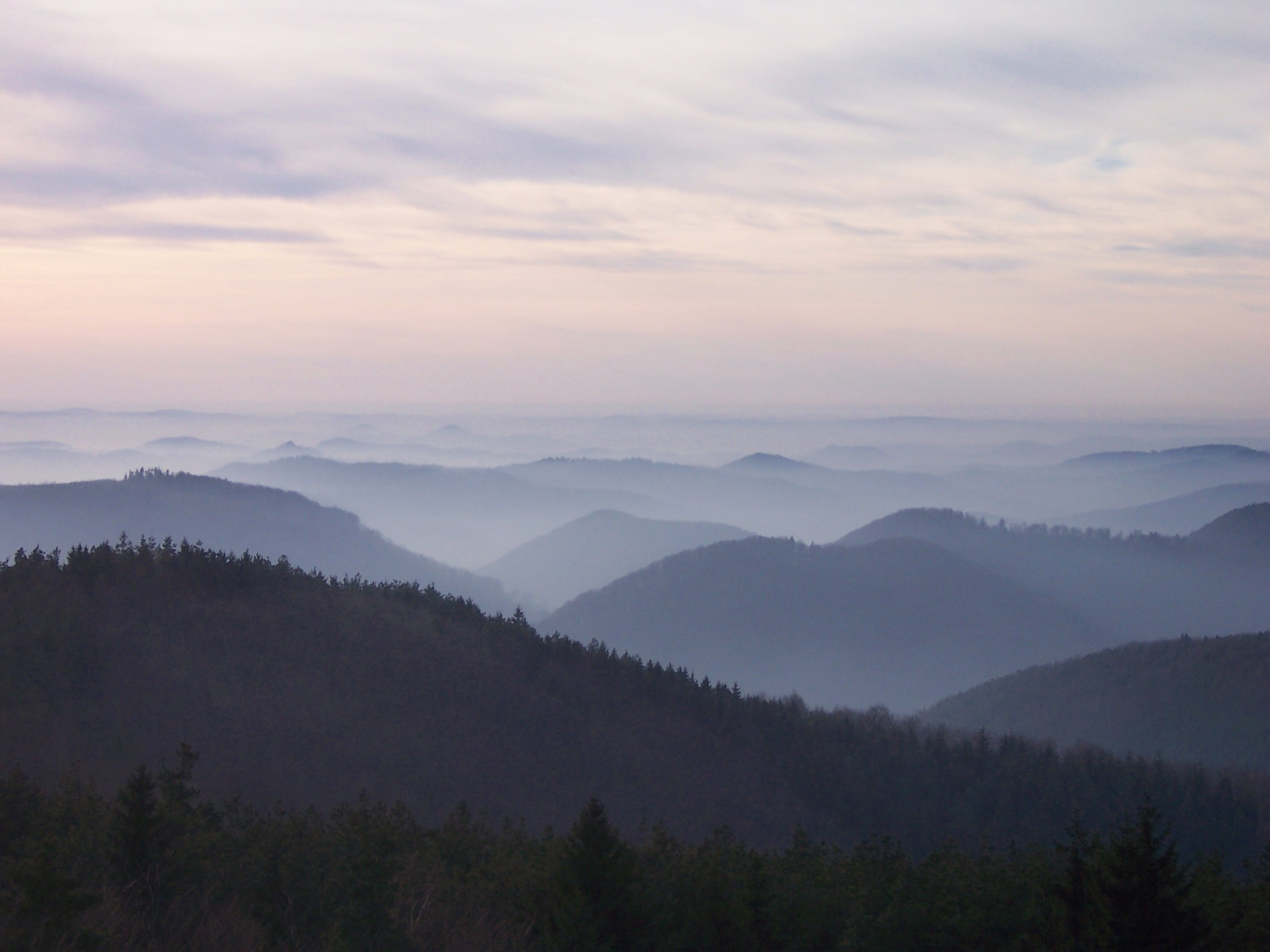 twilight, landscape, forest, alsace, mountain, france, non-urban scene, tranquility, nature, tranquil scene, tree, idyllic, plant, mountain range, environment, HD Wallpaper