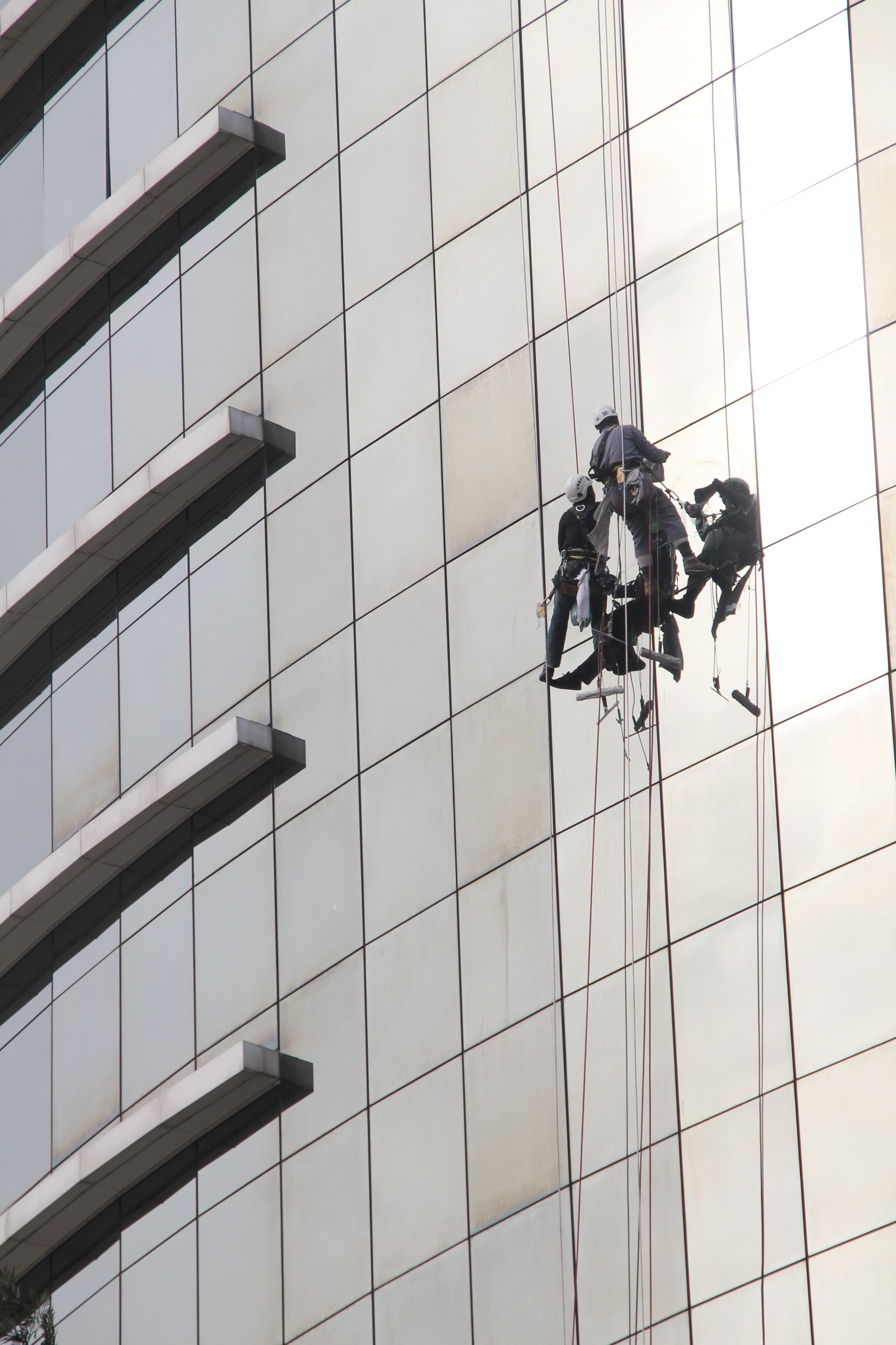 clean, men, window cleaner, glasfasssade, day, architecture, beside, people, hanging, two, office building exterior, rope, cleaner, window cleaning, occupation, Phone HD Wallpaper
