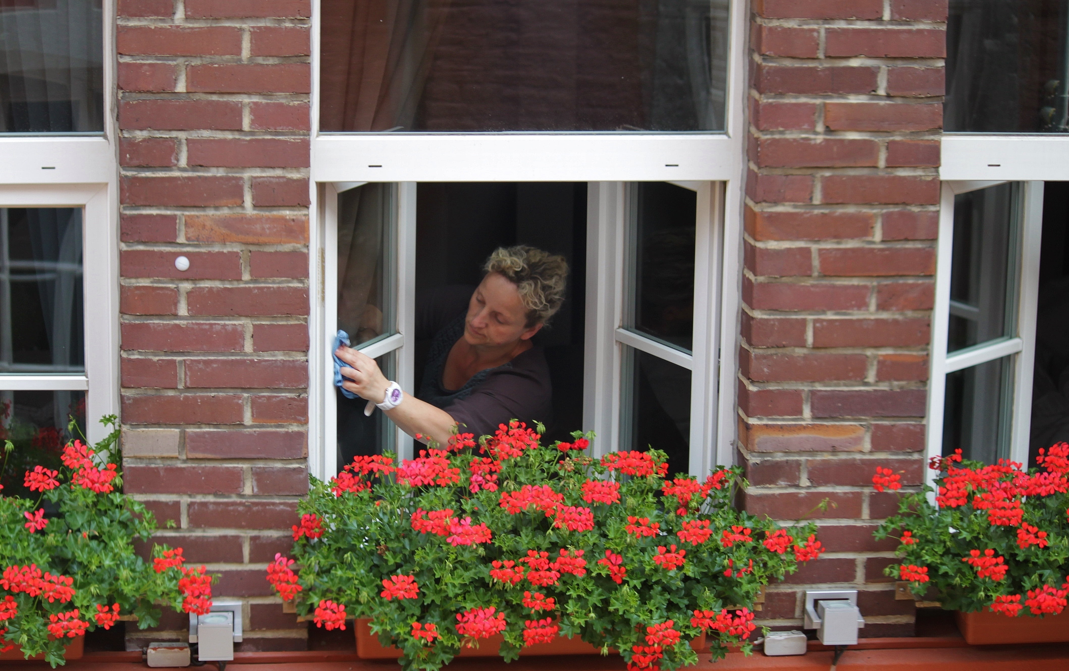 built structure, flower, clean, adult, glass, polishing, house facade, geranium, home, telephone, plant, cleaning, brick wall, person, woman, day, outdoors, HD Wallpaper