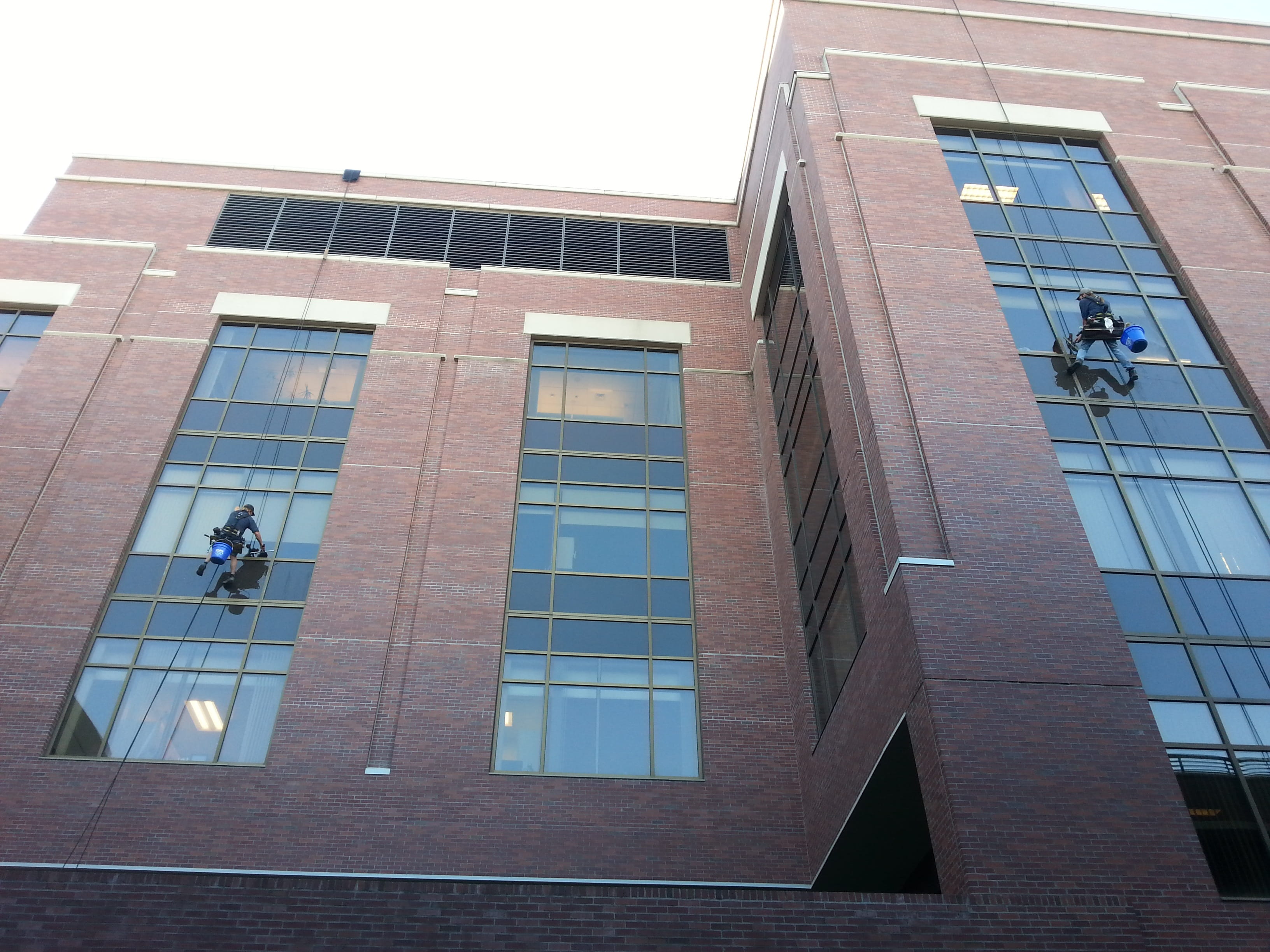one man only, working, modern building, city, Squeegee, real people, office Building, occupation, skyscraper, modern, window washer, built Structure, outdoors, HD Wallpaper